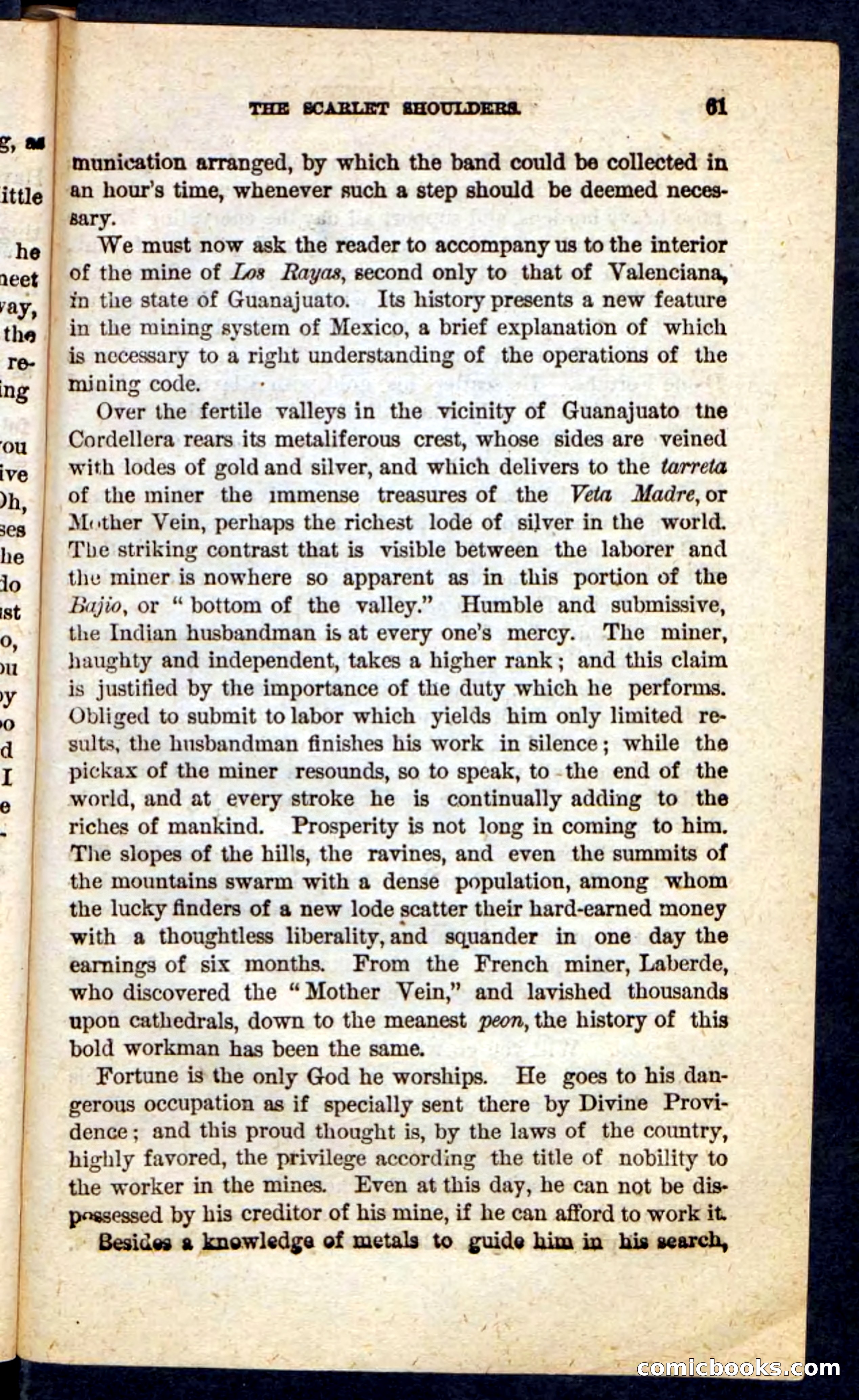 The Scarlet Shoulder — page 57 of 100