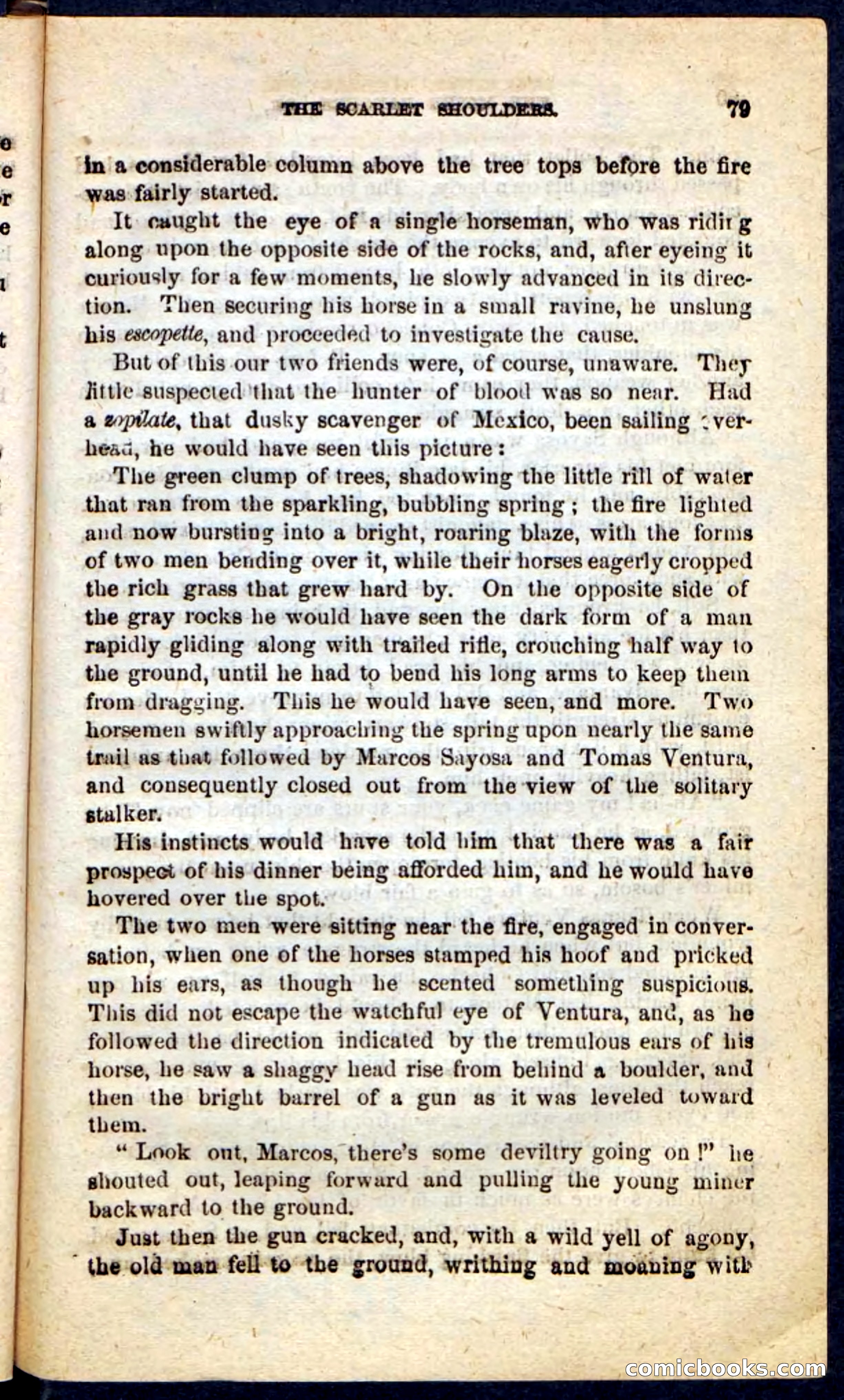 The Scarlet Shoulder — page 75 of 100