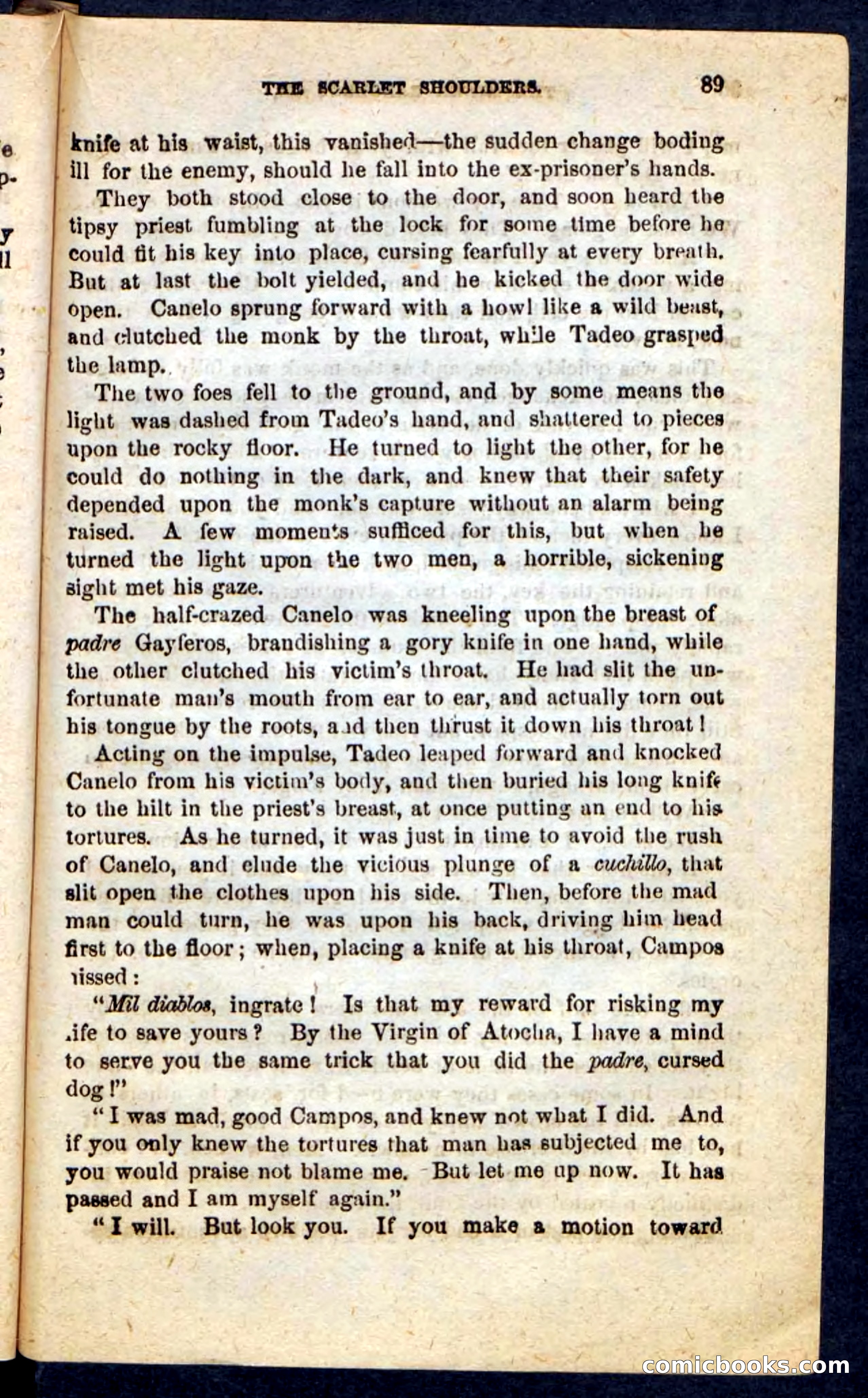 The Scarlet Shoulder — page 85 of 100