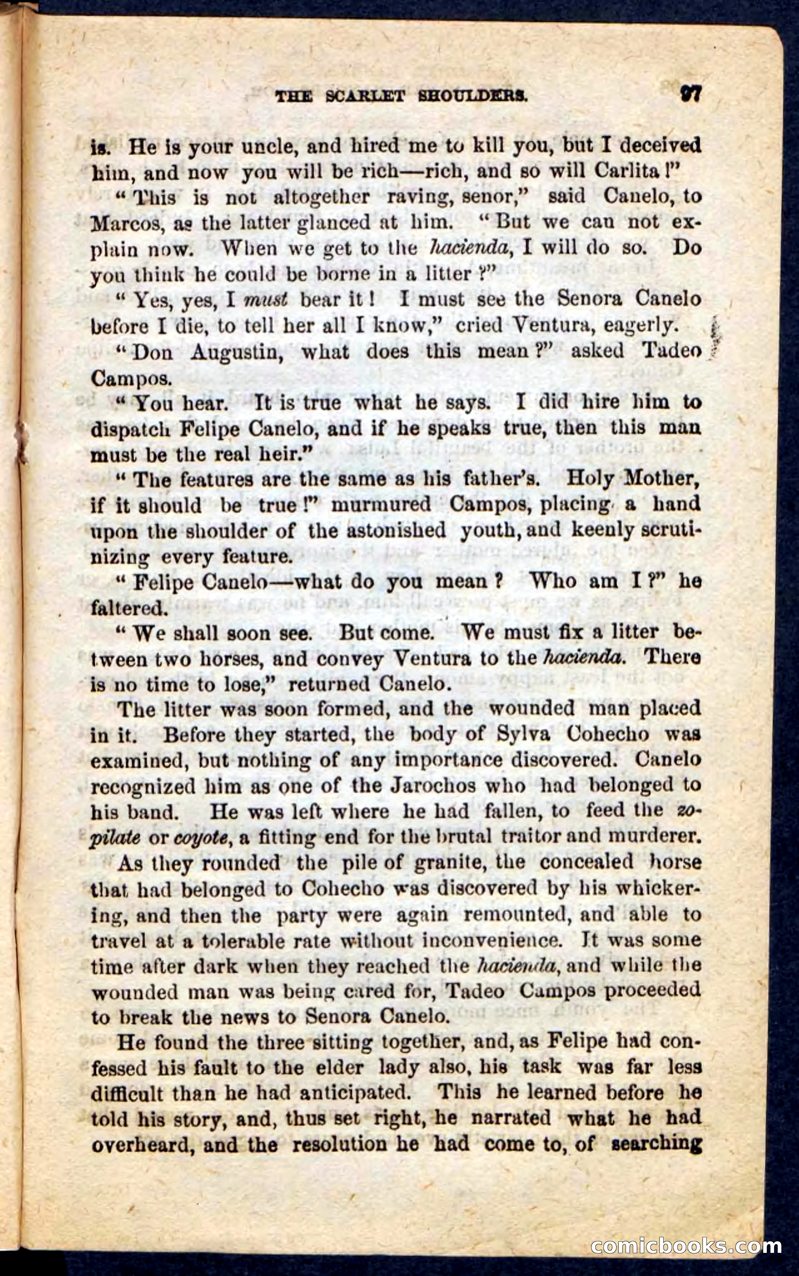 The Scarlet Shoulder — page 93 of 100