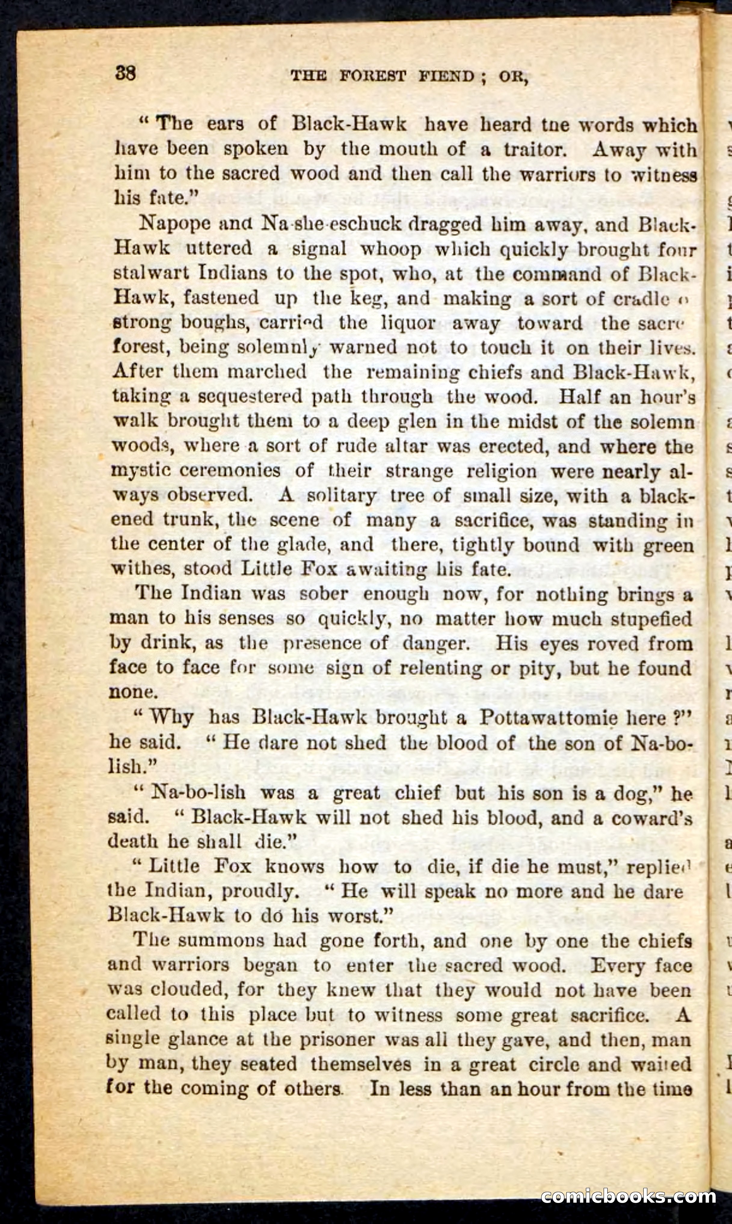 The Border Riflemen — page 34 of 100