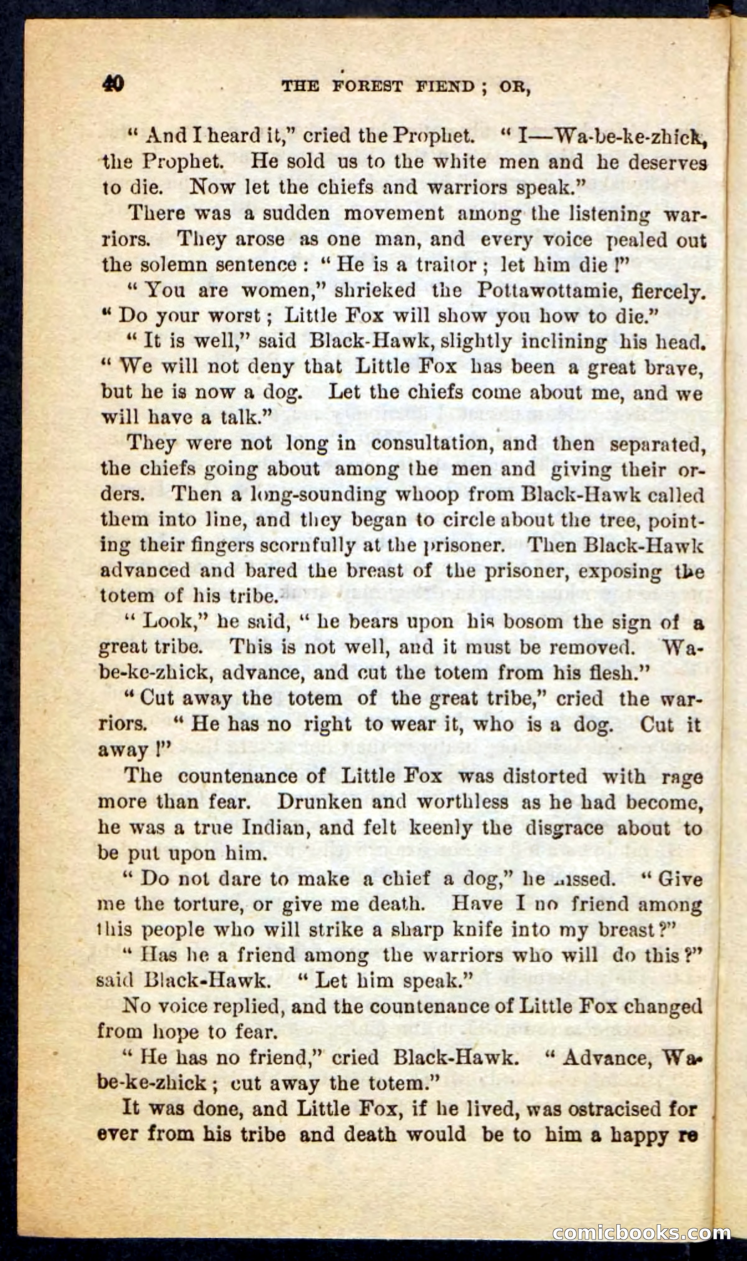 The Border Riflemen — page 36 of 100