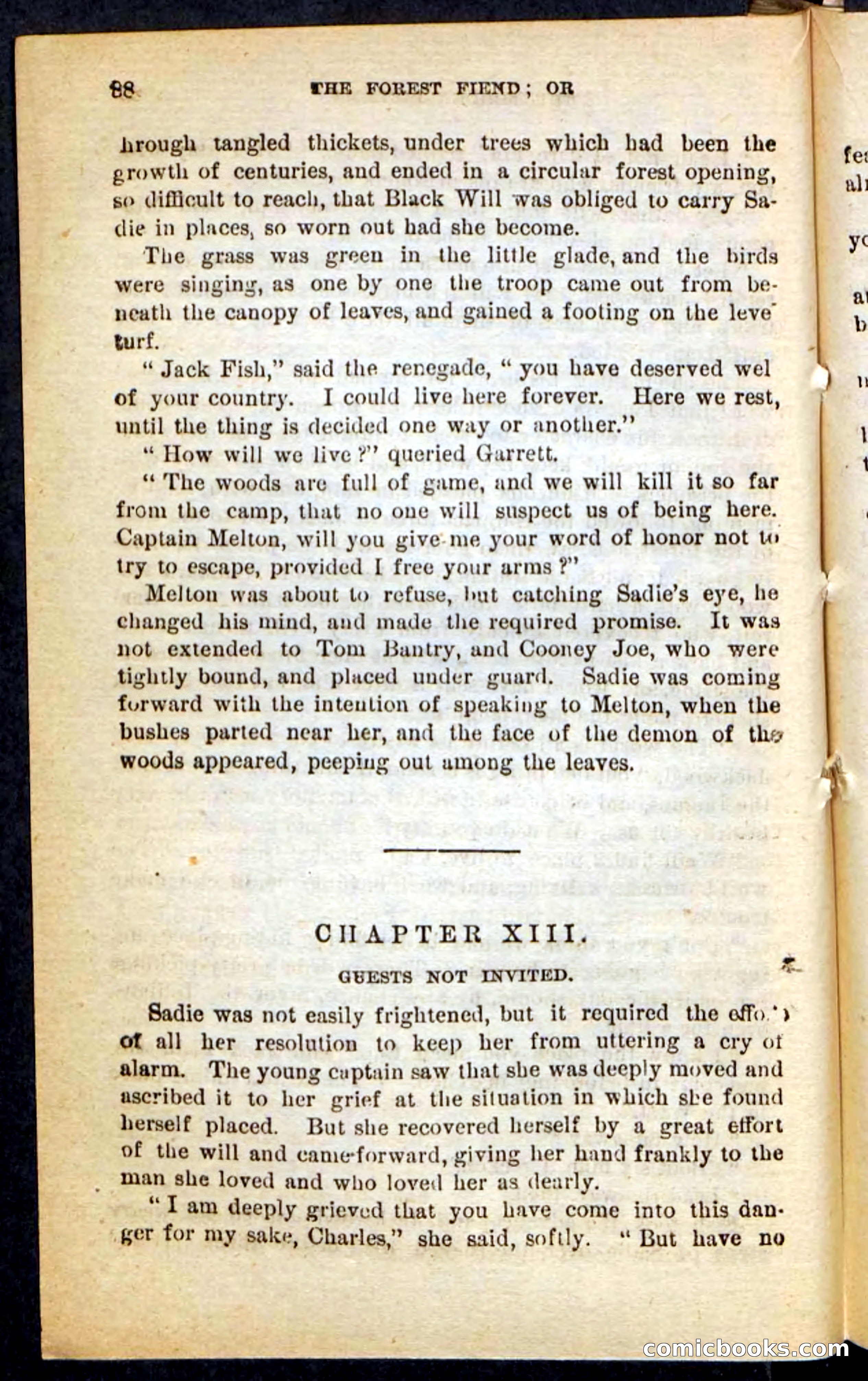 The Border Riflemen — page 84 of 100