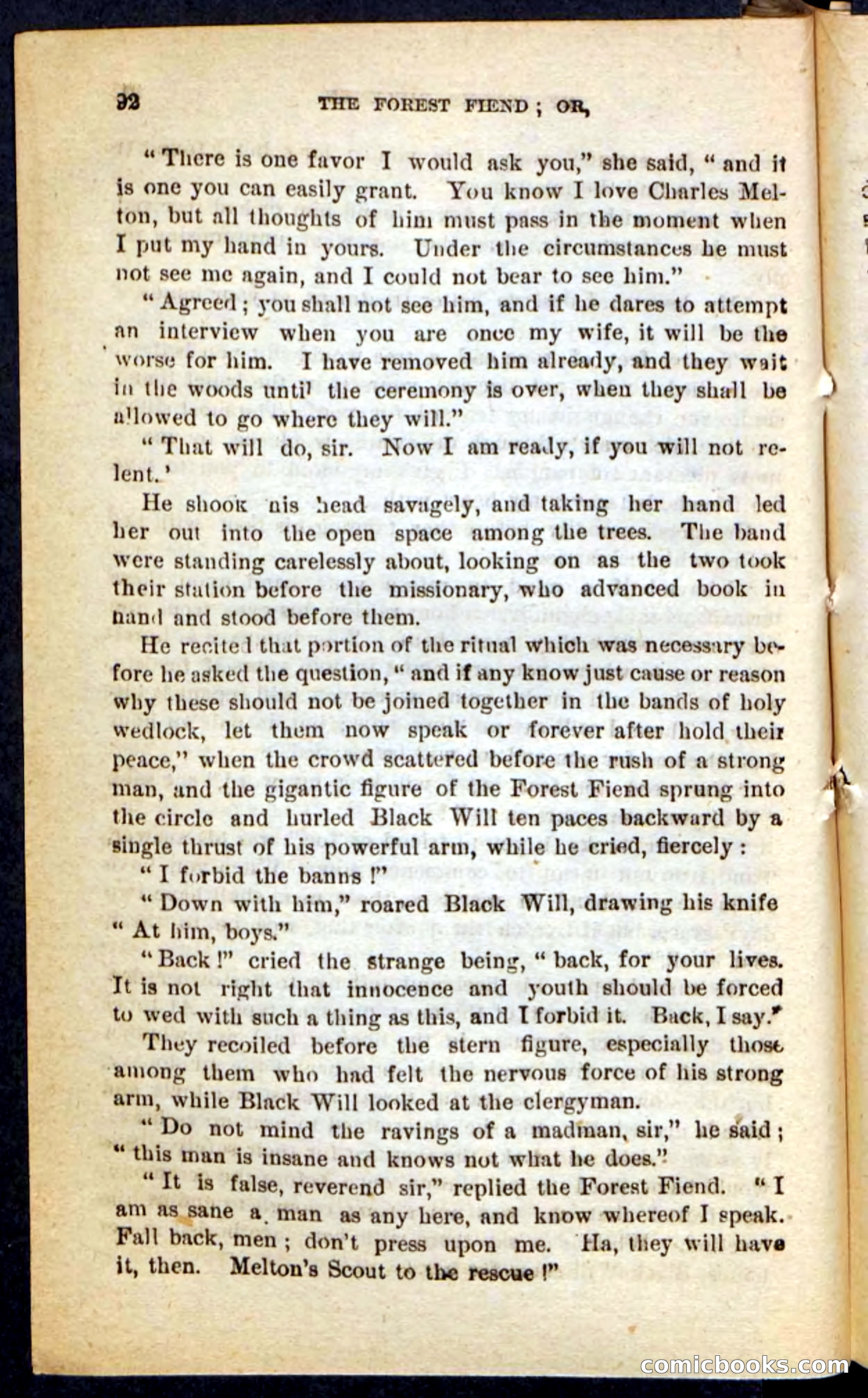 The Border Riflemen — page 88 of 100