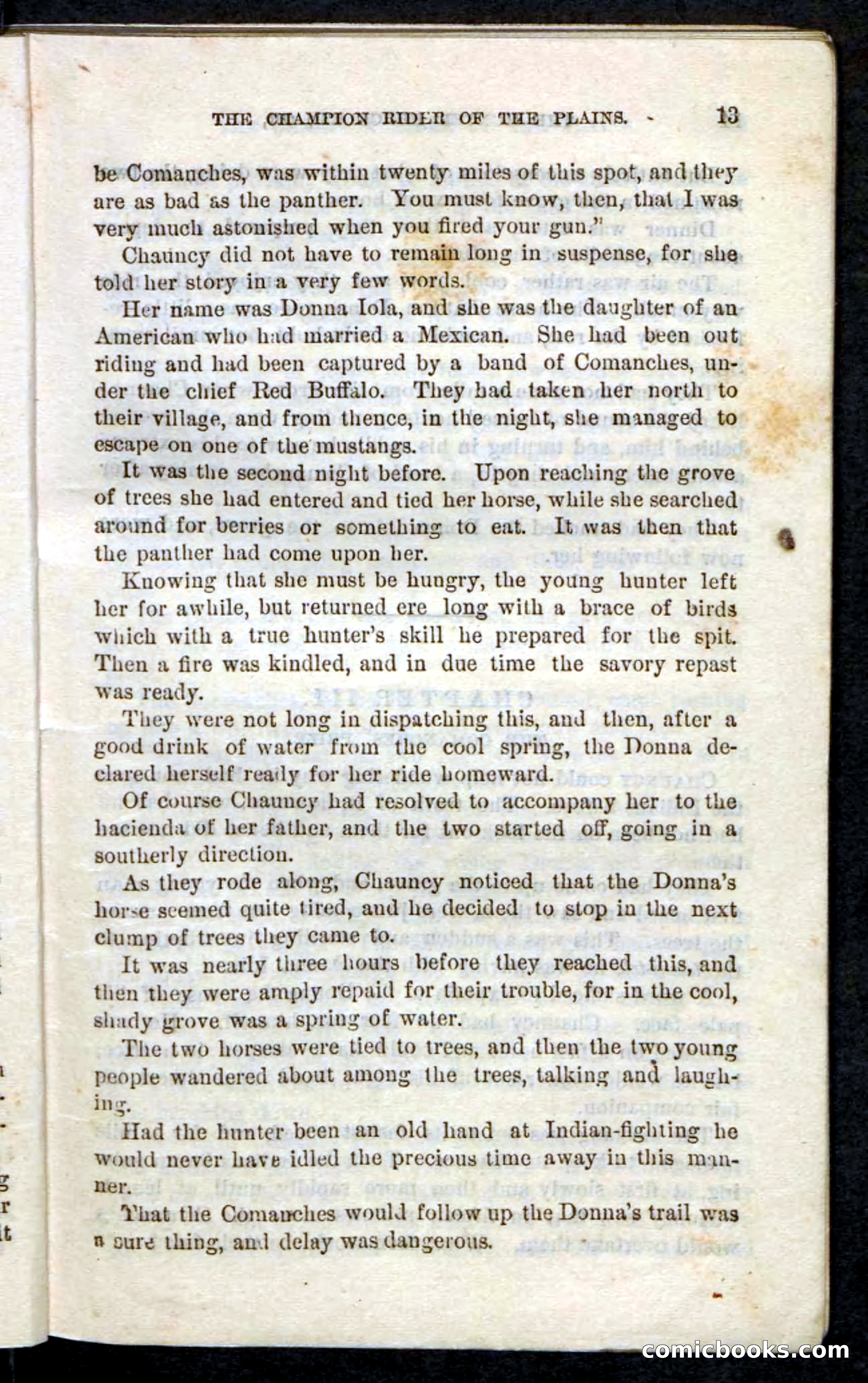 Beadle's Pocket Novels, No. 86: The Hunter Hercules — page 9 of 100