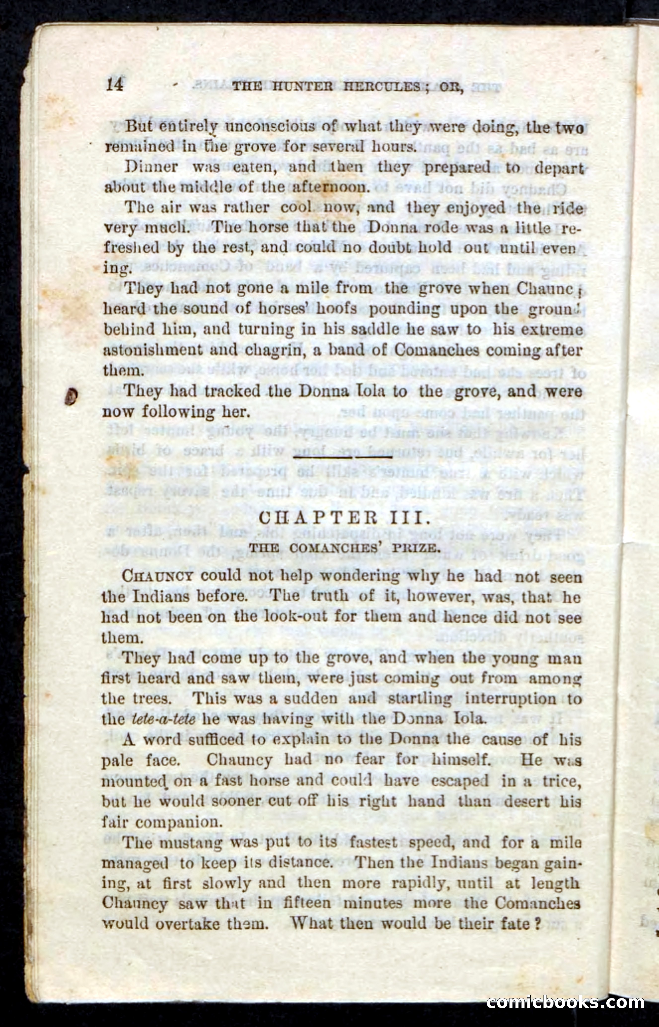 Beadle's Pocket Novels, No. 86: The Hunter Hercules — page 10 of 100