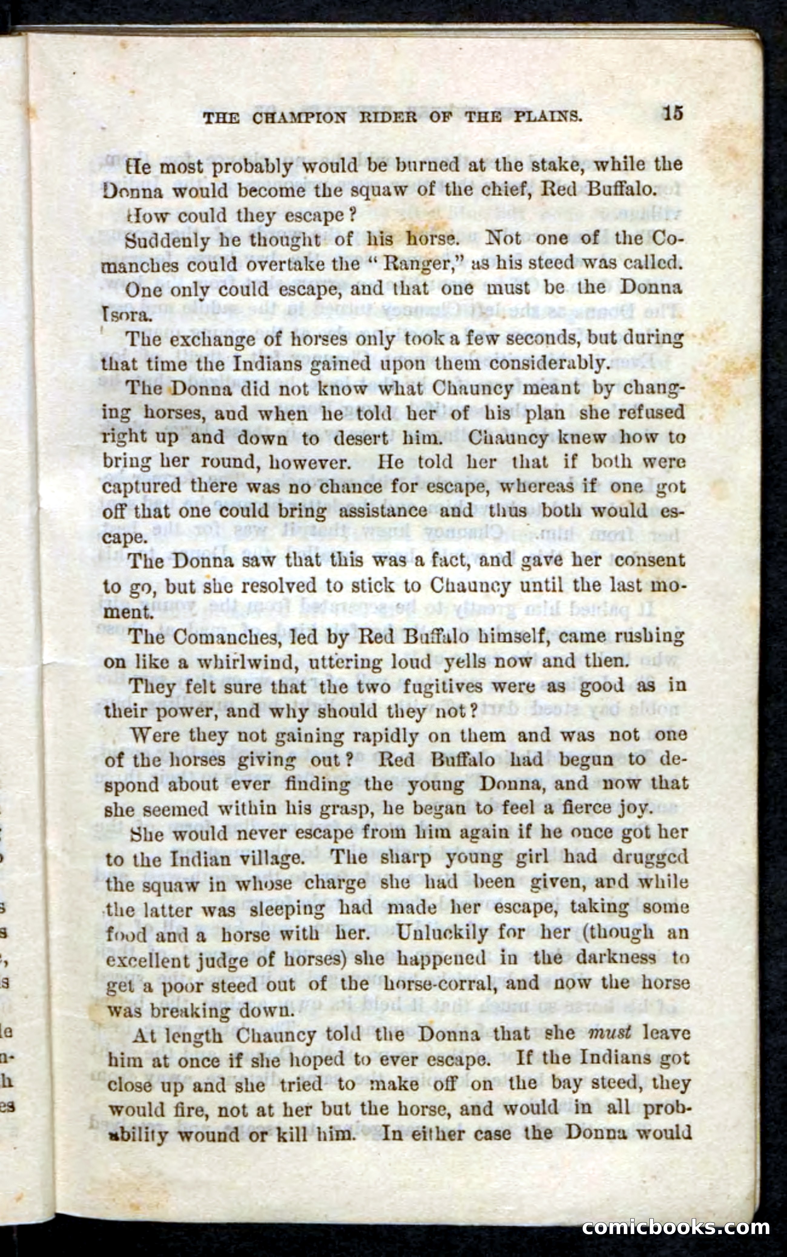 Beadle's Pocket Novels, No. 86: The Hunter Hercules — page 11 of 100