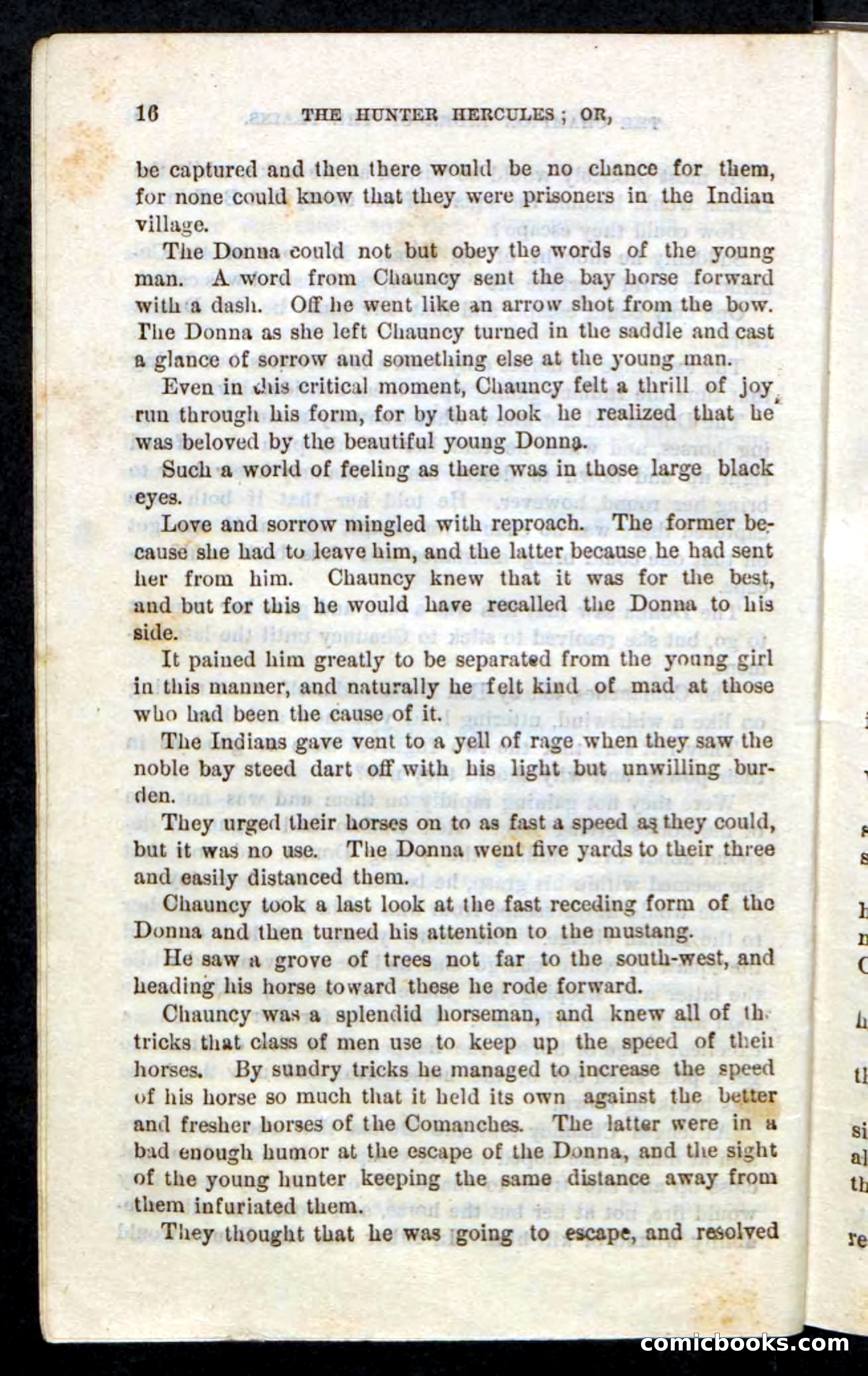 Beadle's Pocket Novels, No. 86: The Hunter Hercules — page 12 of 100
