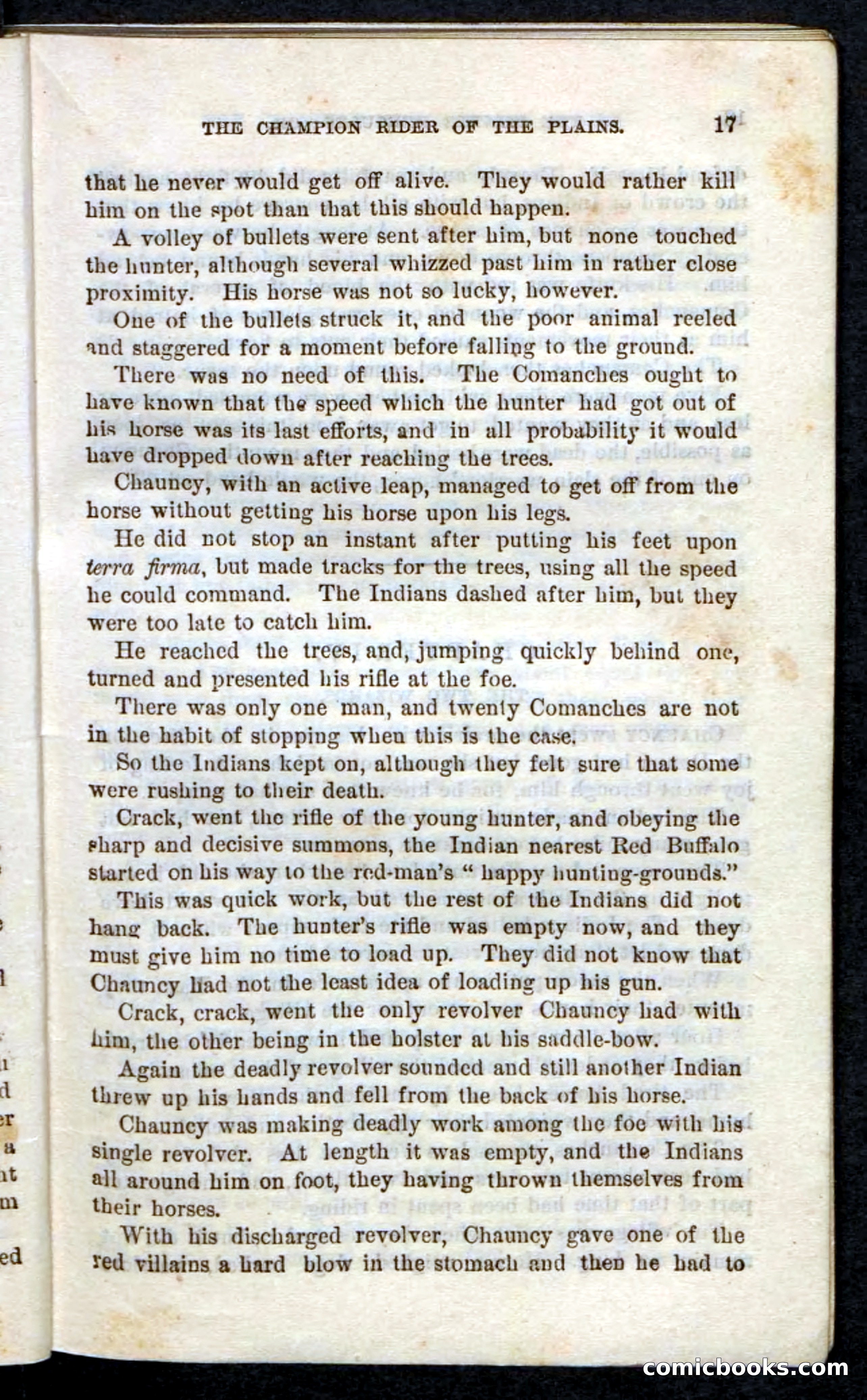 Beadle's Pocket Novels, No. 86: The Hunter Hercules — page 13 of 100