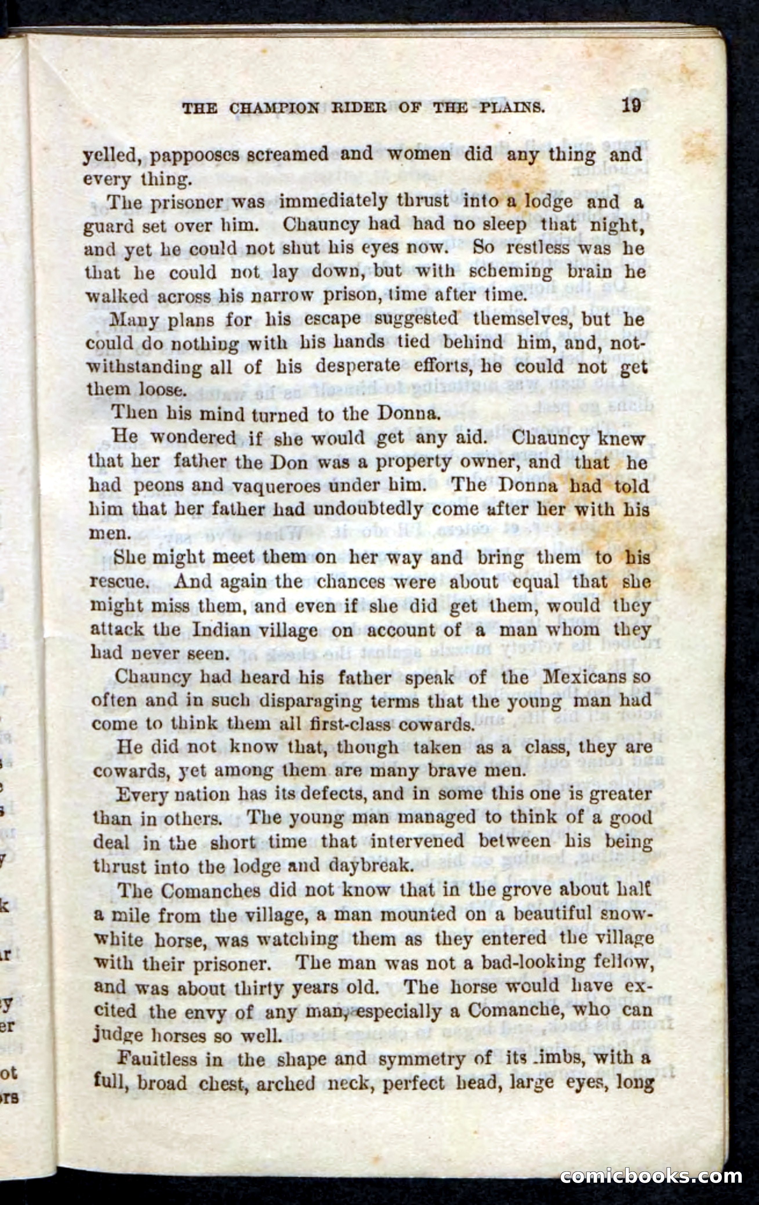 Beadle's Pocket Novels, No. 86: The Hunter Hercules — page 15 of 100