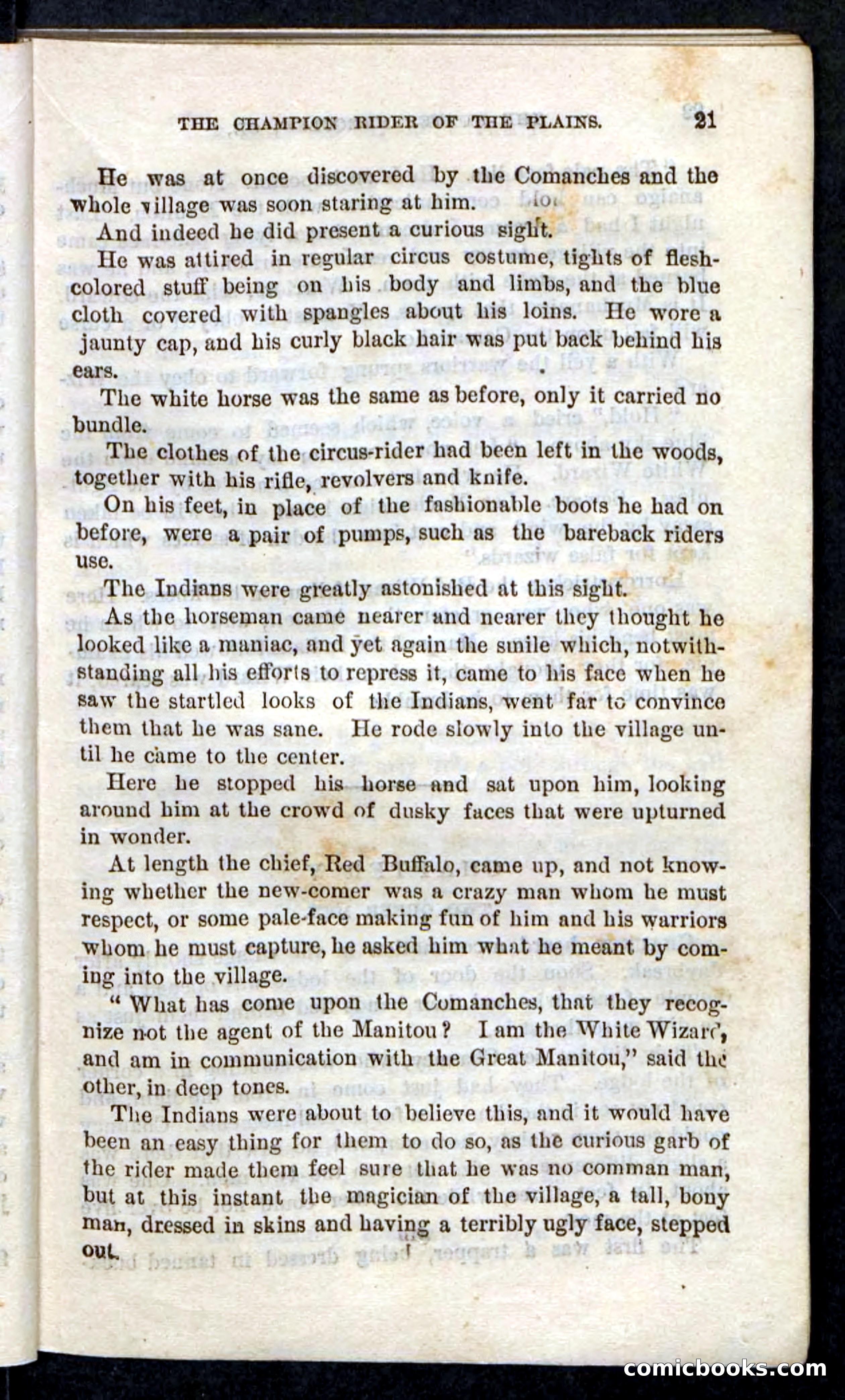 Beadle's Pocket Novels, No. 86: The Hunter Hercules — page 17 of 100