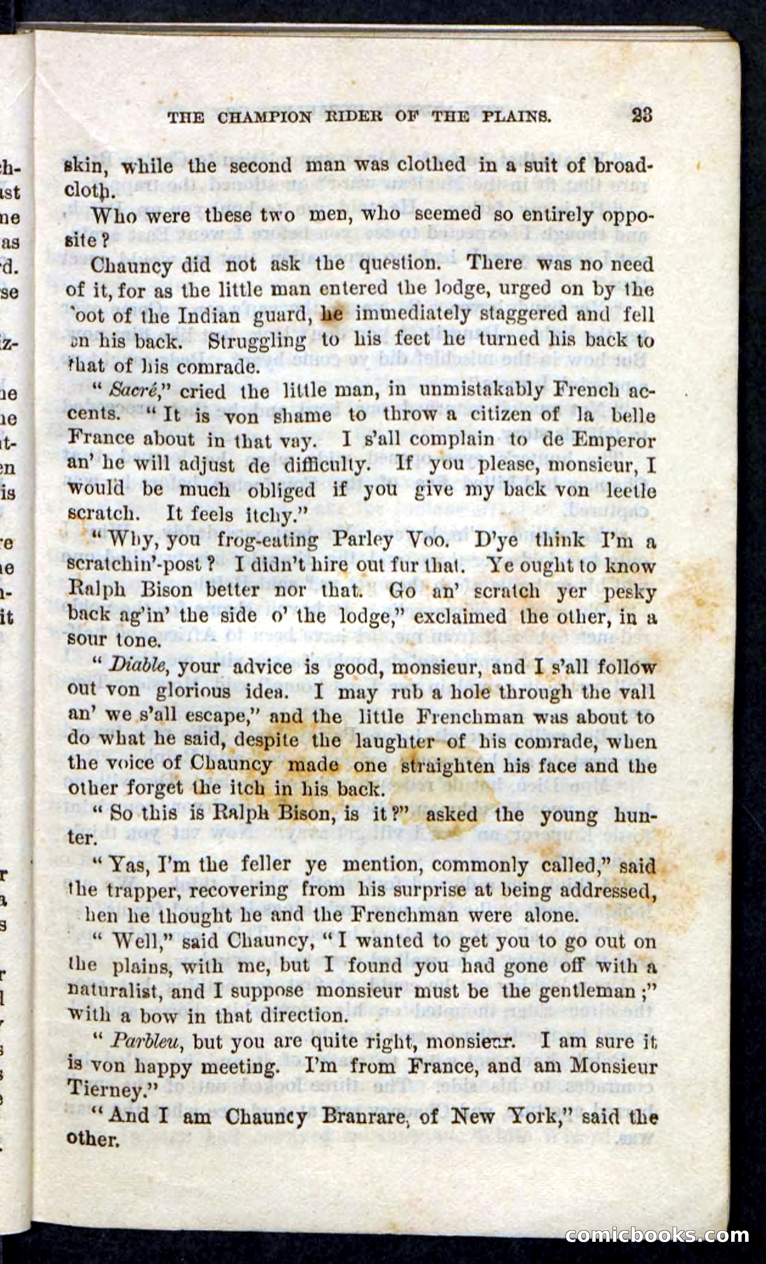 Beadle's Pocket Novels, No. 86: The Hunter Hercules — page 19 of 100