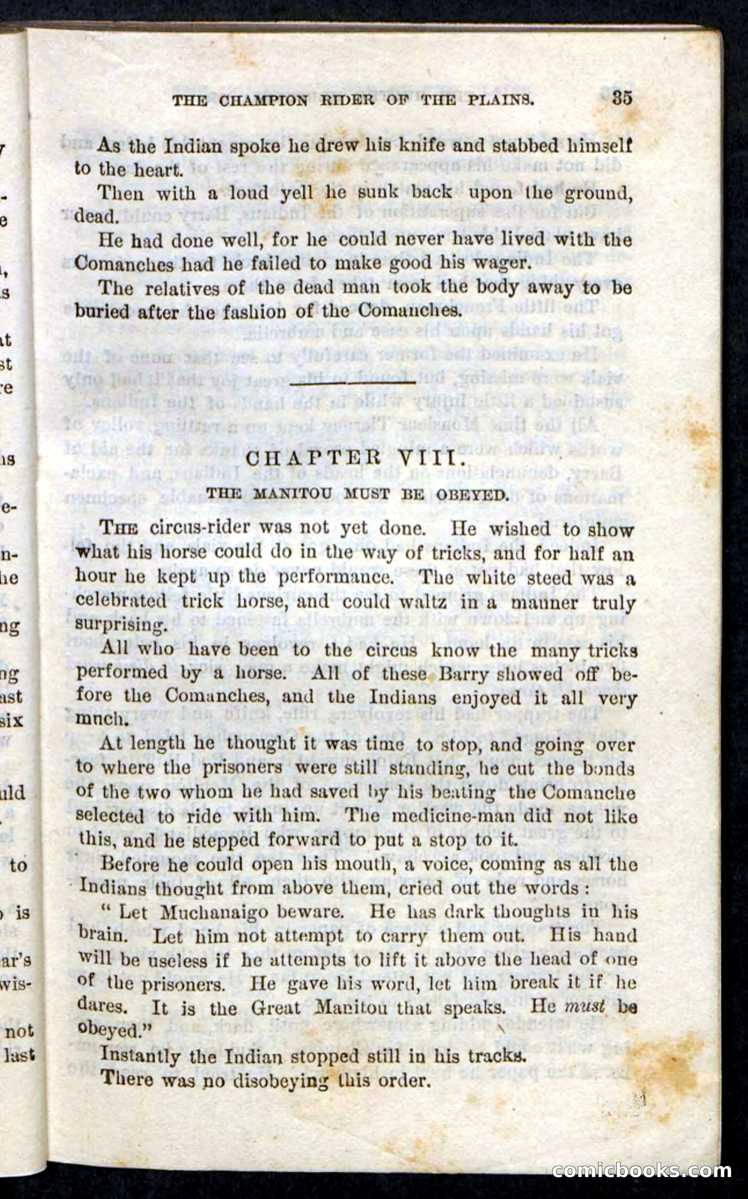 Beadle's Pocket Novels, No. 86: The Hunter Hercules — page 31 of 100