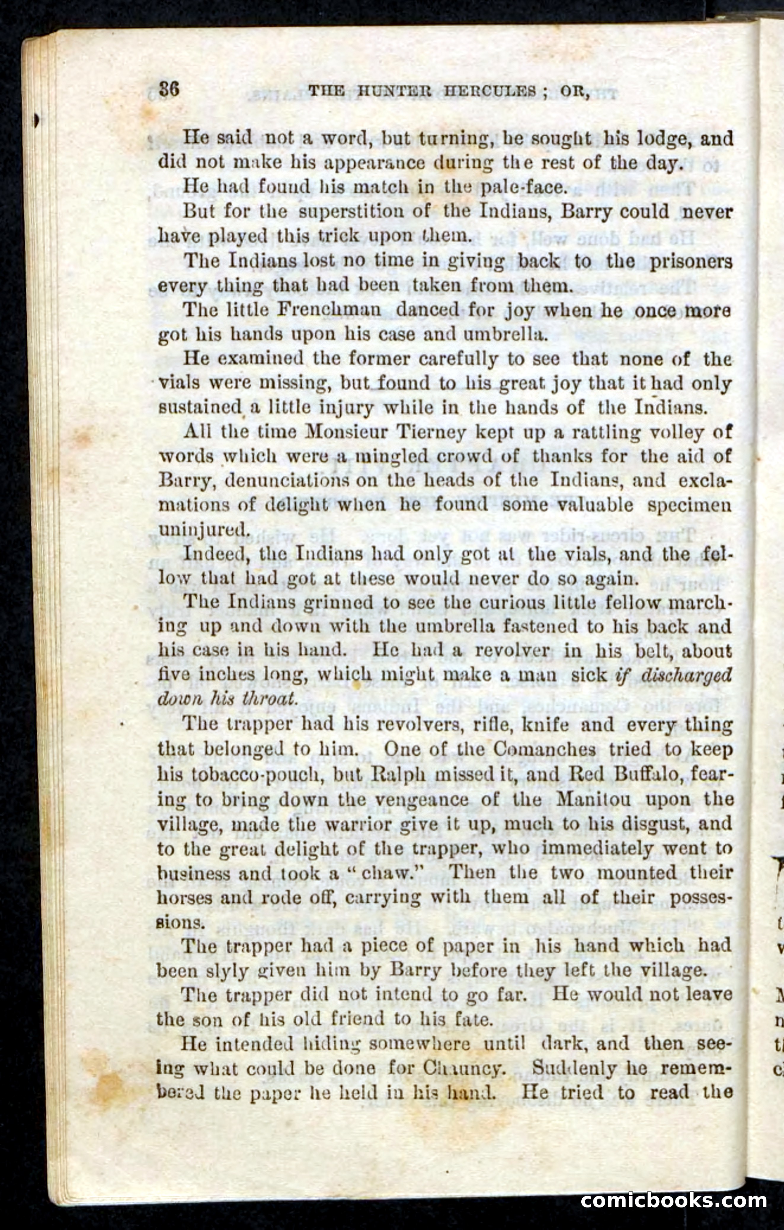 Beadle's Pocket Novels, No. 86: The Hunter Hercules — page 32 of 100