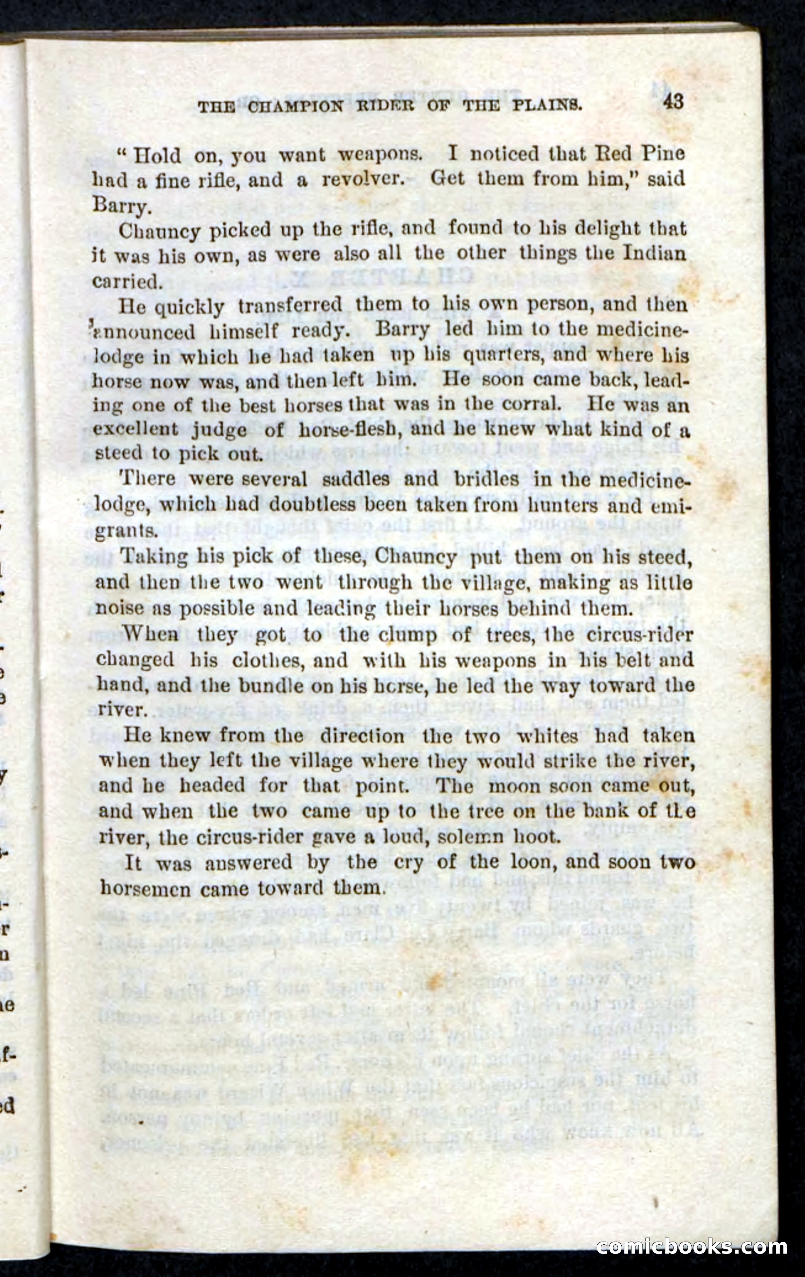 Beadle's Pocket Novels, No. 86: The Hunter Hercules — page 39 of 100