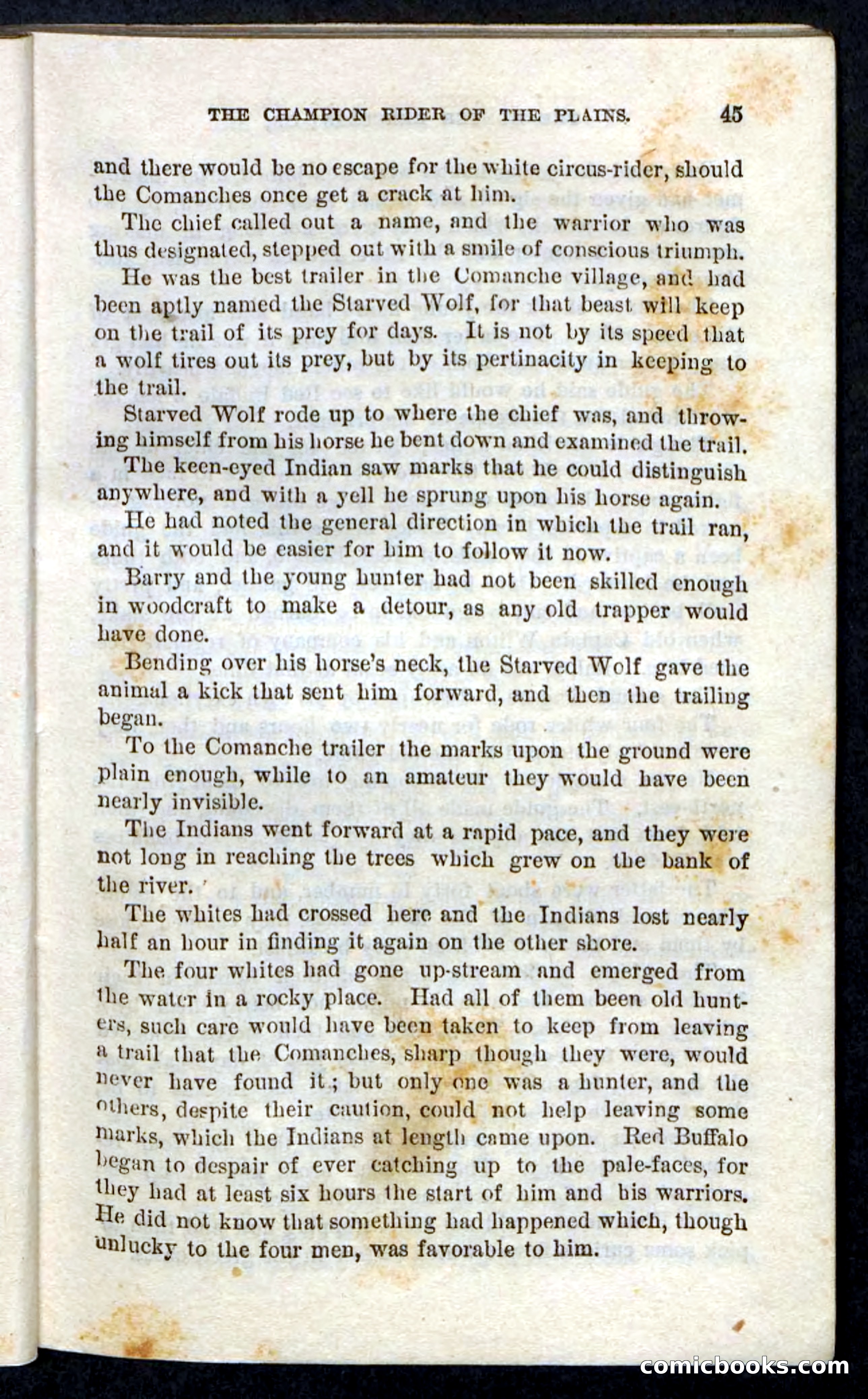 Beadle's Pocket Novels, No. 86: The Hunter Hercules — page 41 of 100