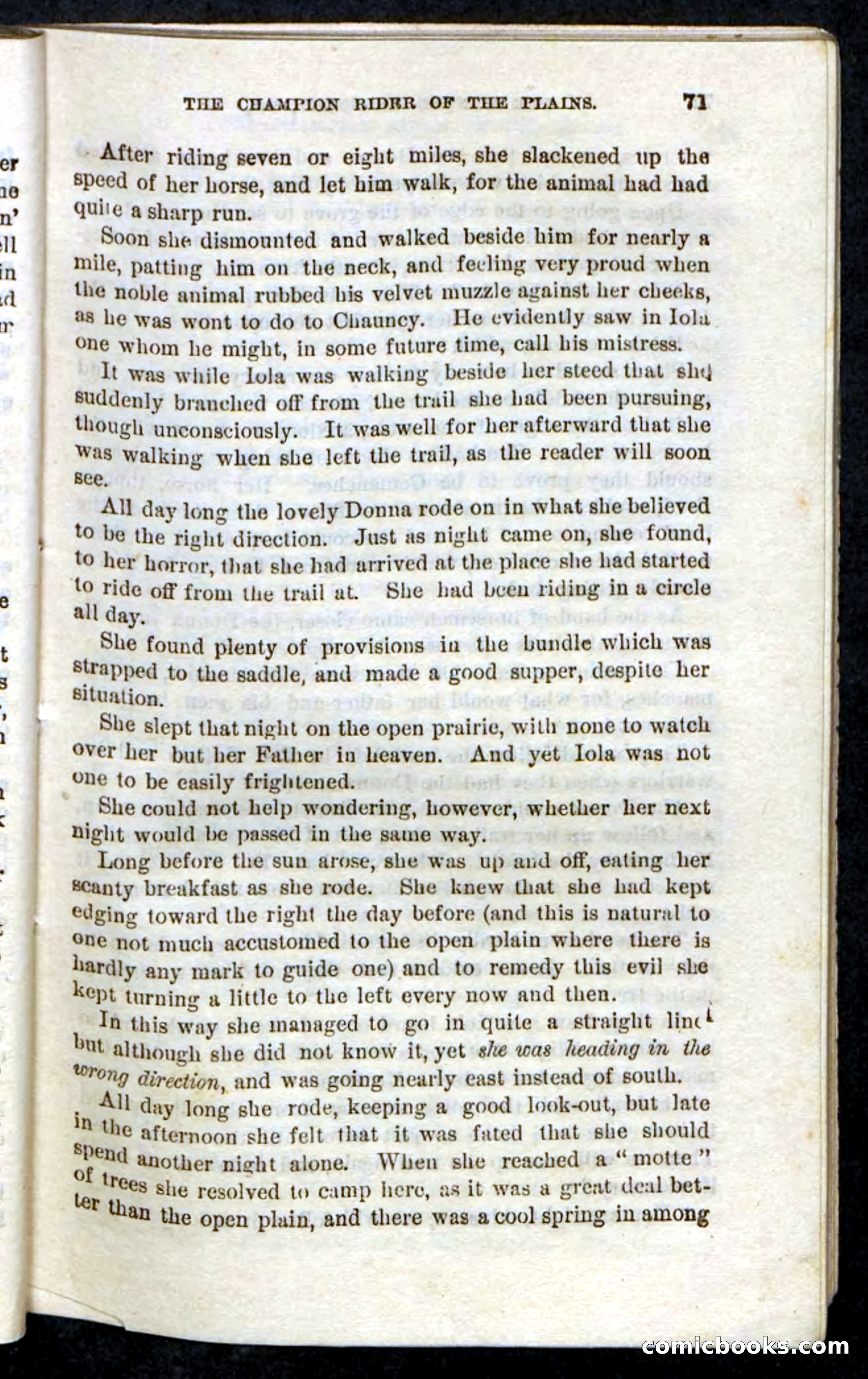 Beadle's Pocket Novels, No. 86: The Hunter Hercules — page 67 of 100