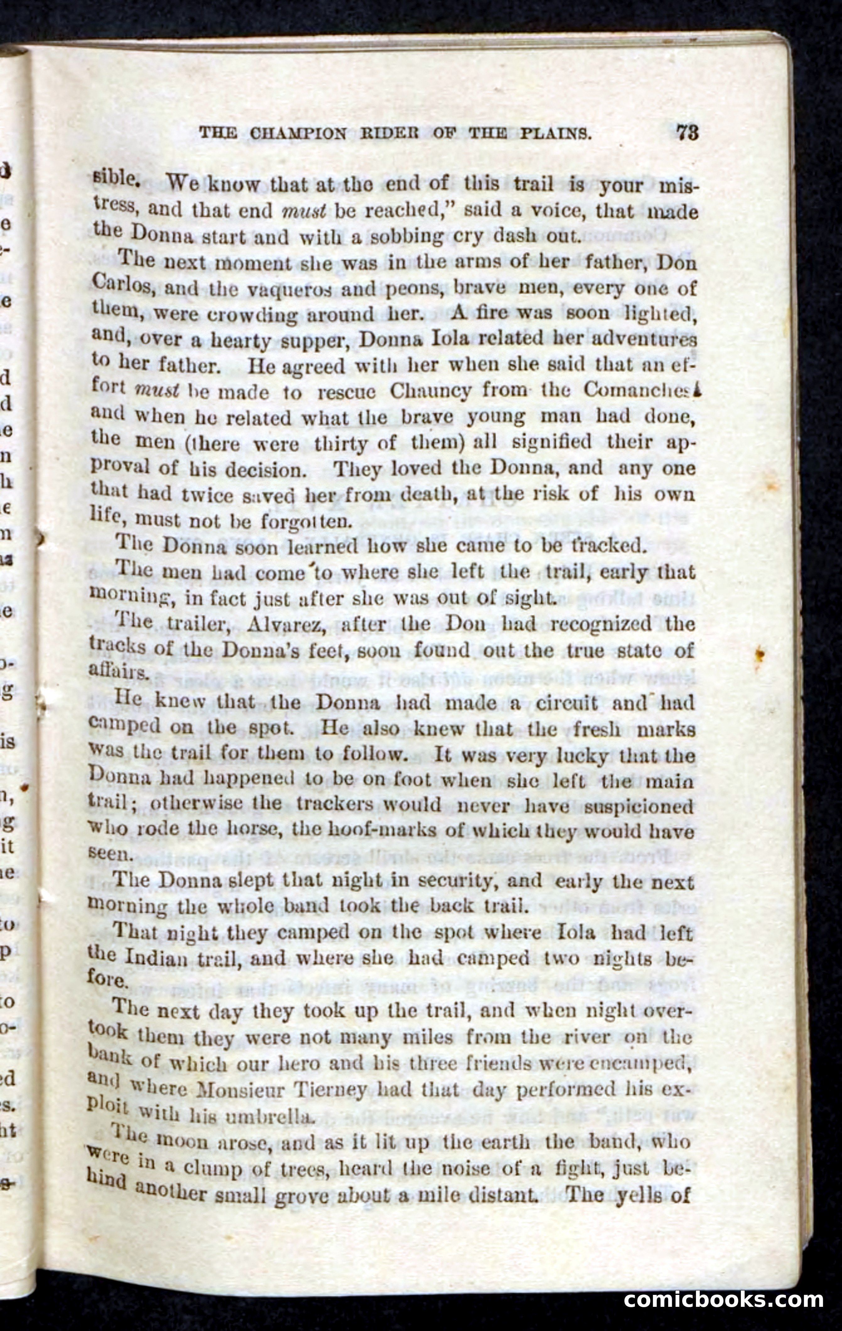 Beadle's Pocket Novels, No. 86: The Hunter Hercules — page 69 of 100
