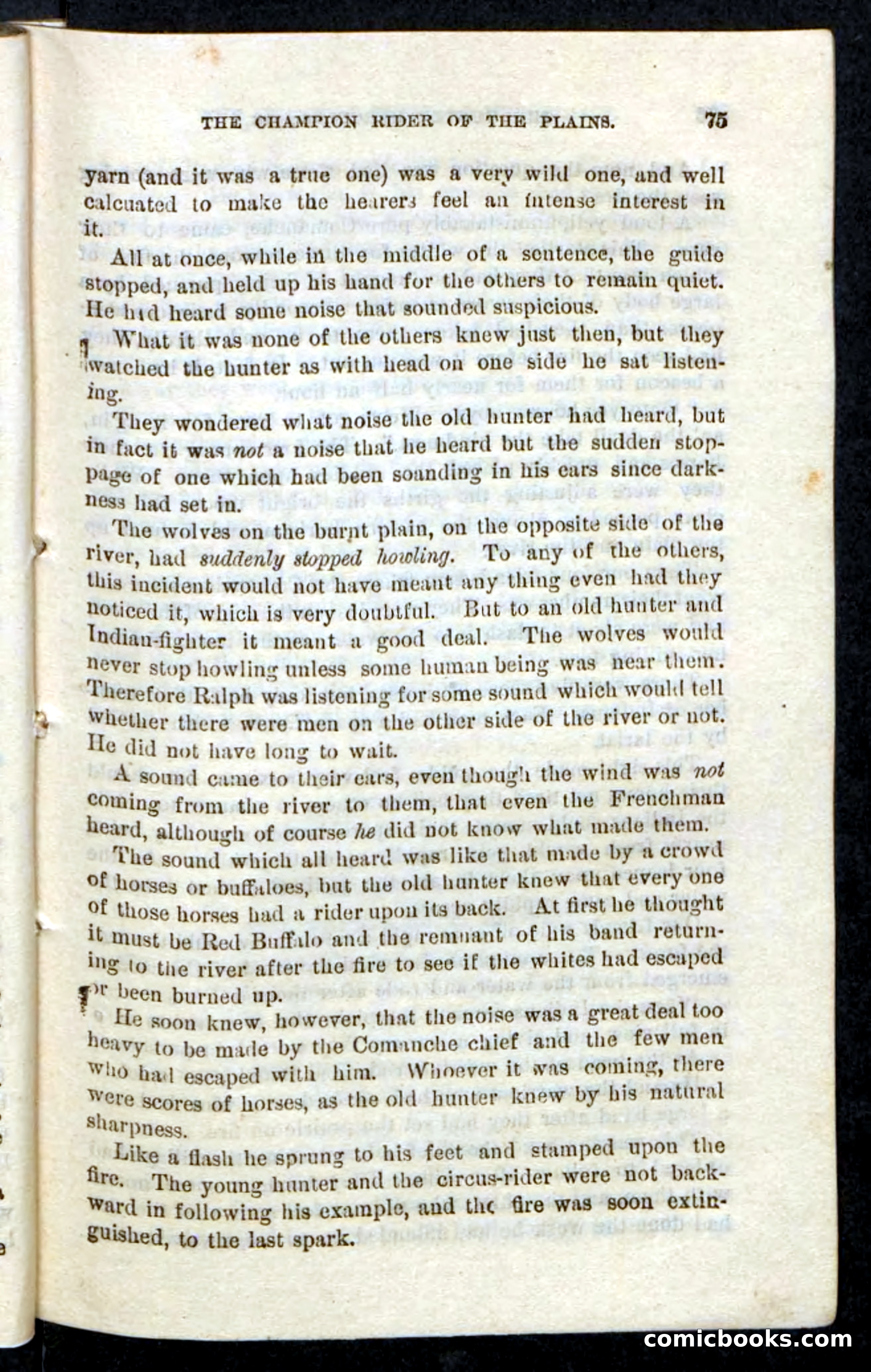 Beadle's Pocket Novels, No. 86: The Hunter Hercules — page 71 of 100
