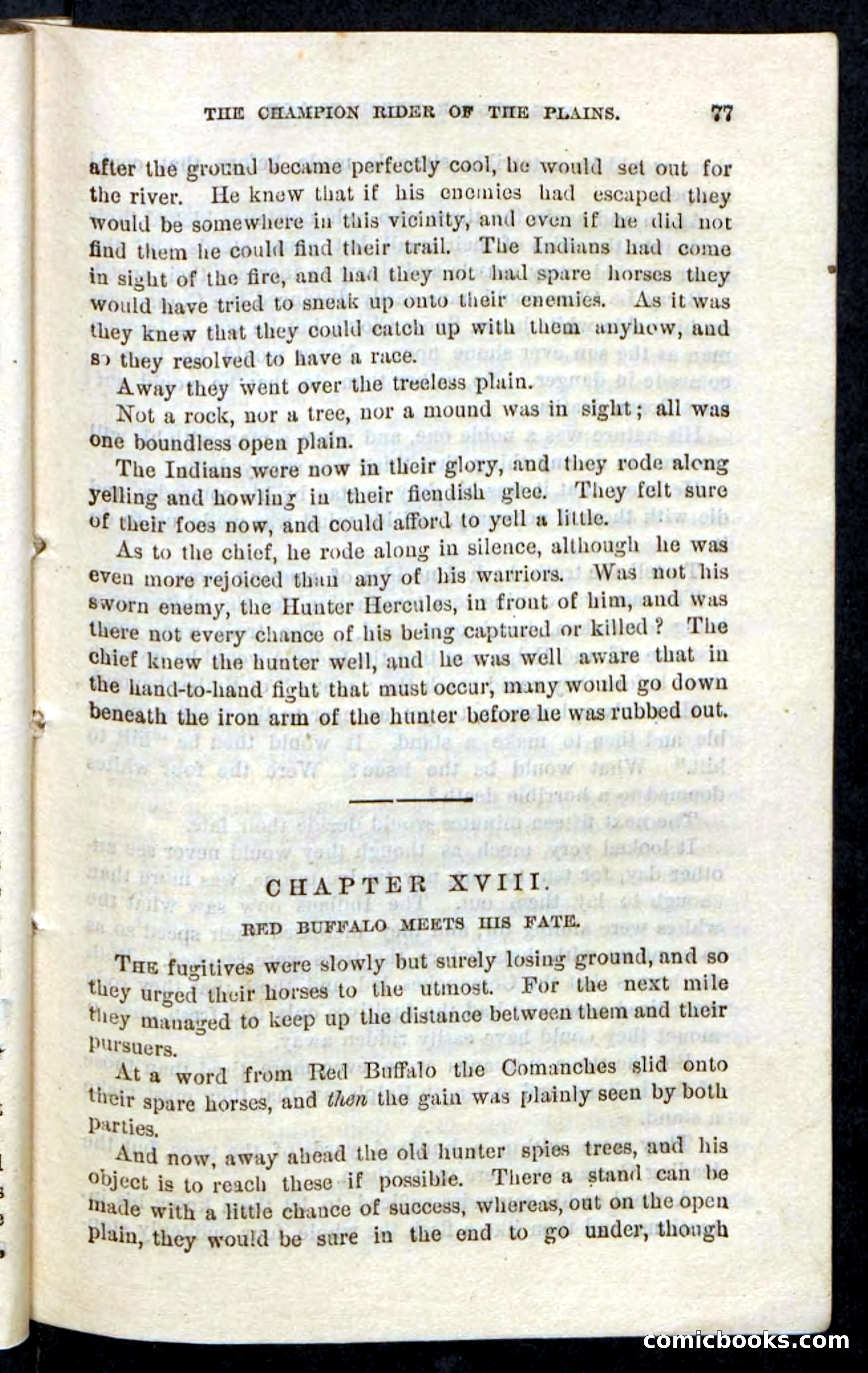 Beadle's Pocket Novels, No. 86: The Hunter Hercules — page 73 of 100