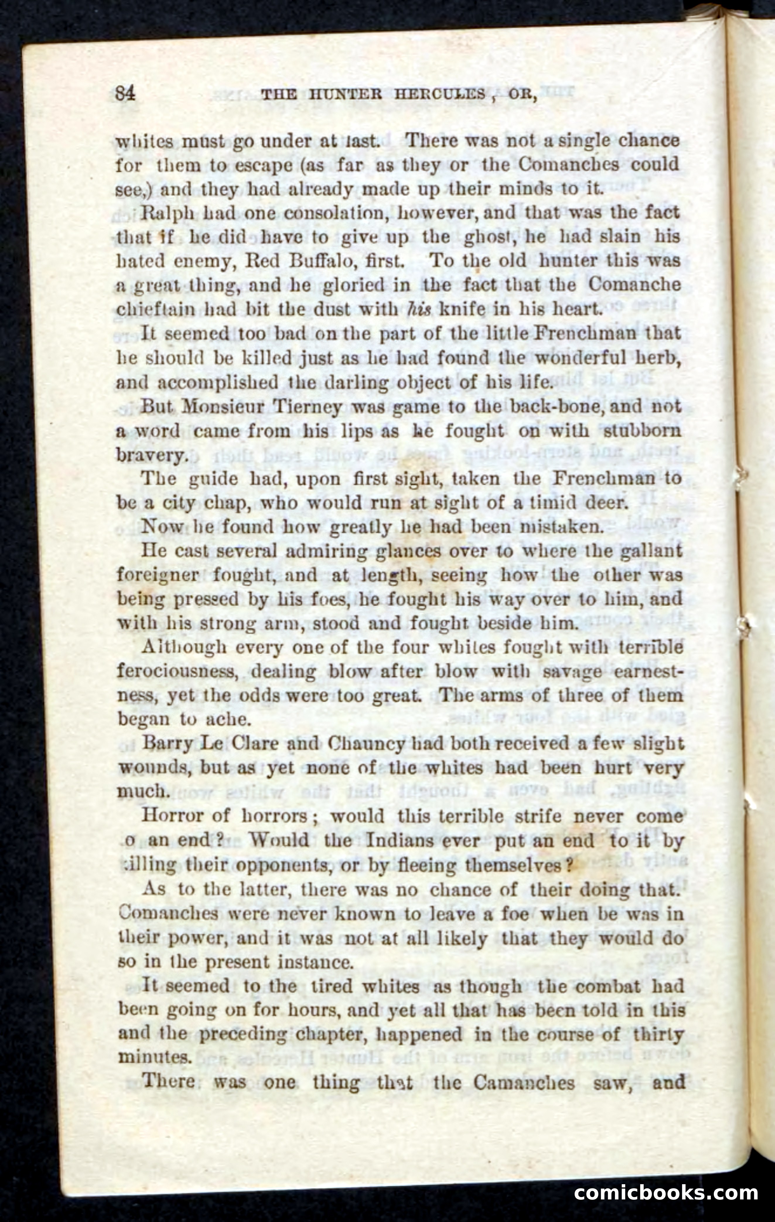 Beadle's Pocket Novels, No. 86: The Hunter Hercules — page 80 of 100