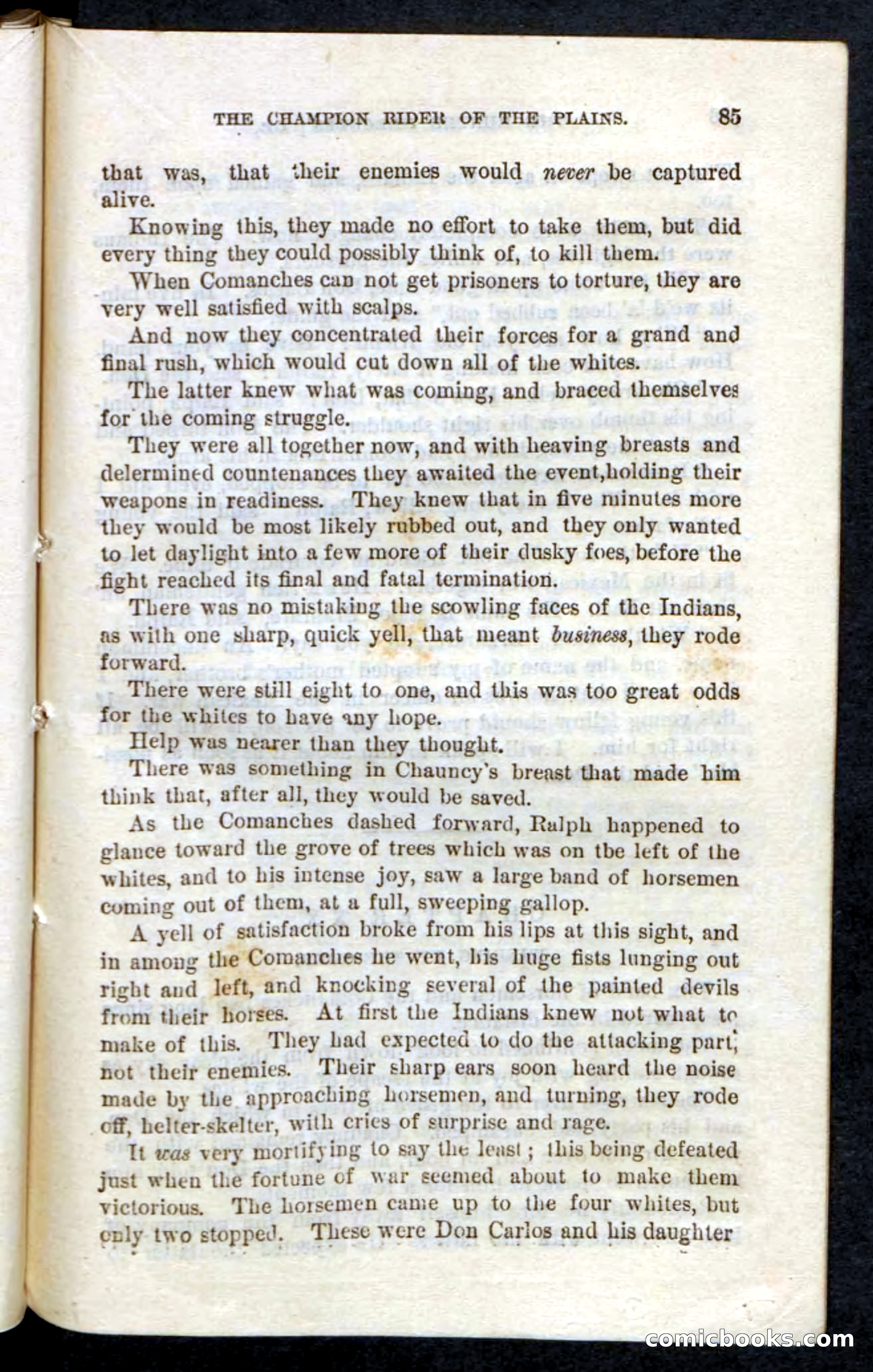 Beadle's Pocket Novels, No. 86: The Hunter Hercules — page 81 of 100