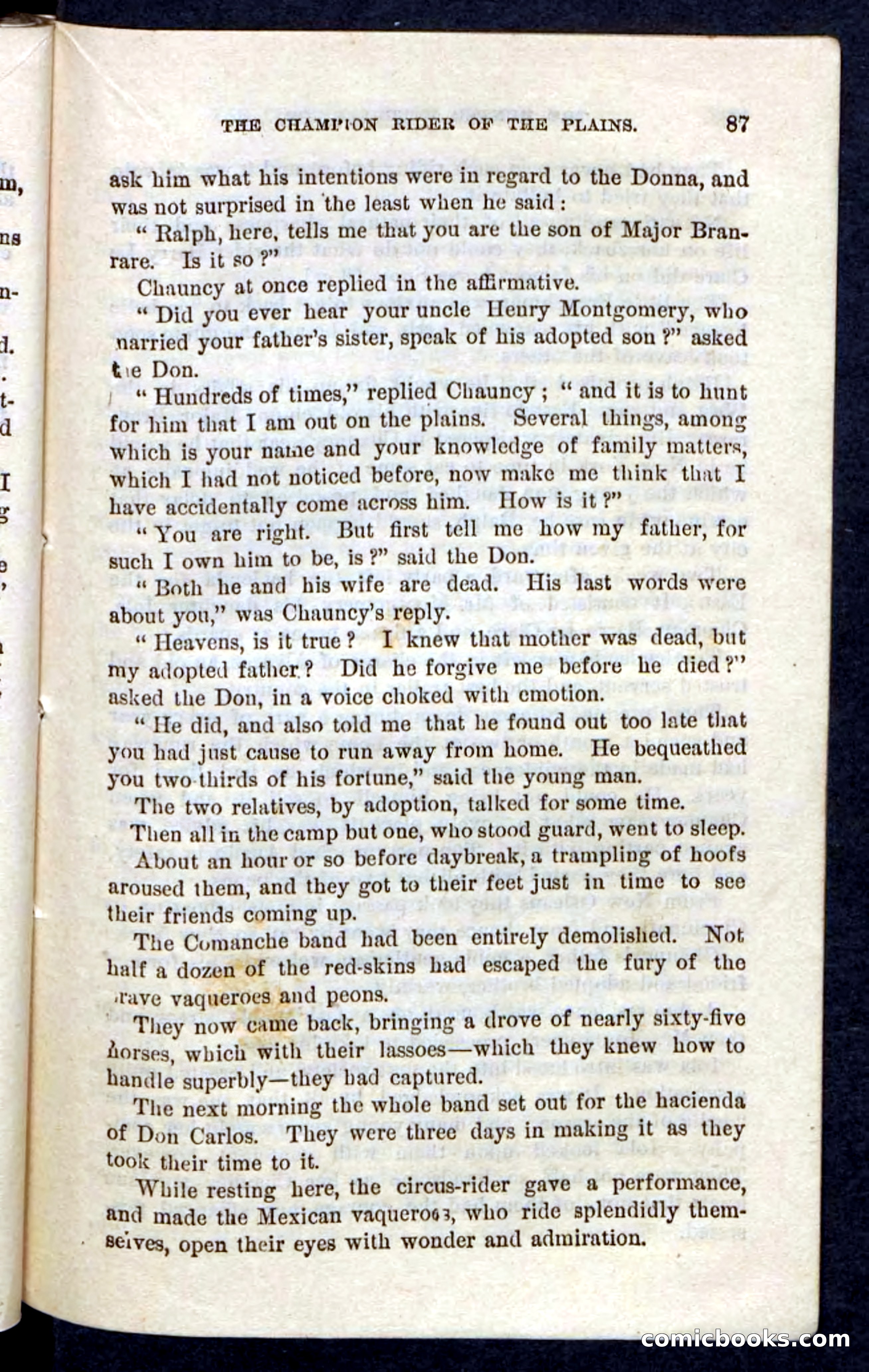 Beadle's Pocket Novels, No. 86: The Hunter Hercules — page 83 of 100