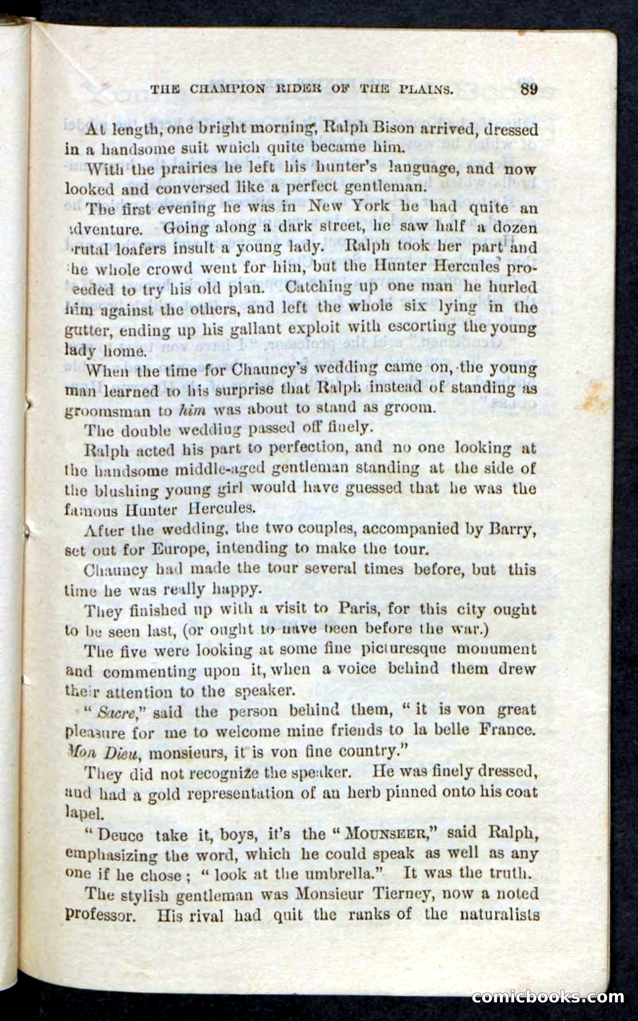 Beadle's Pocket Novels, No. 86: The Hunter Hercules — page 85 of 100