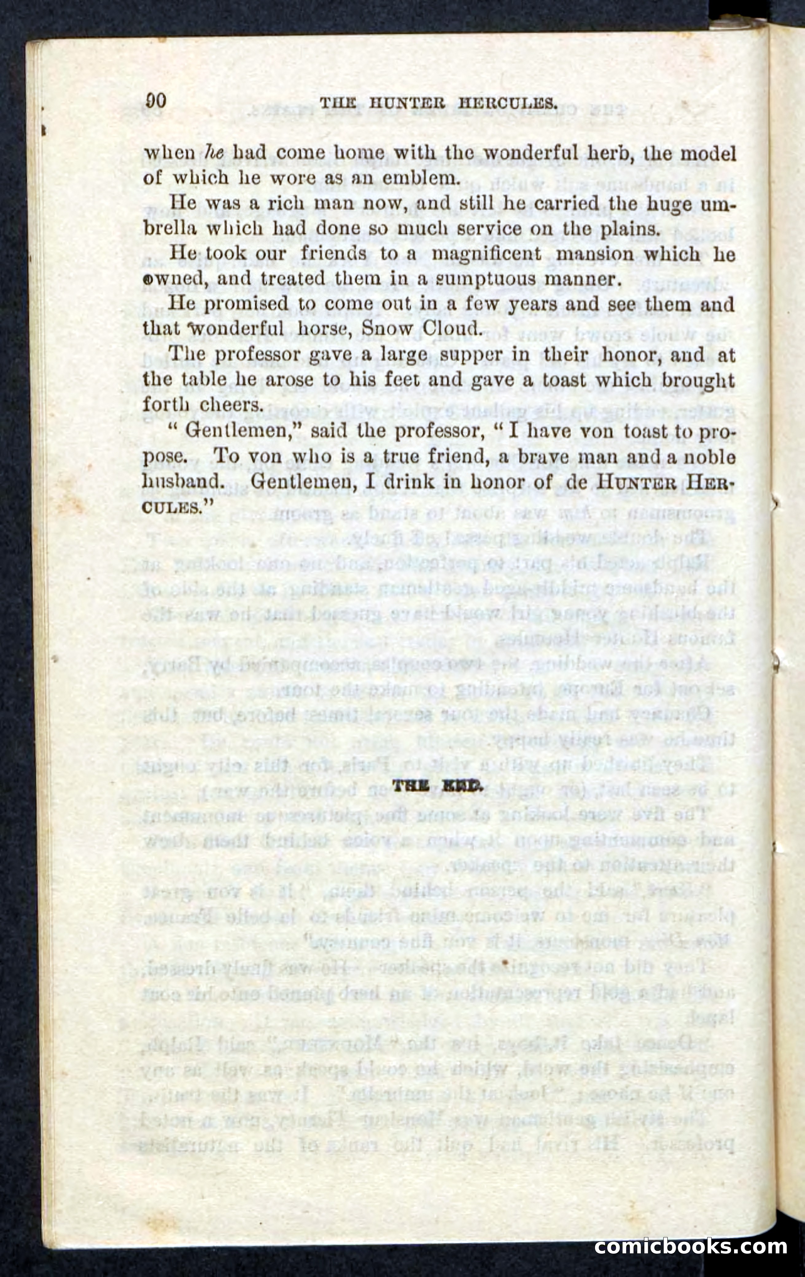 Beadle's Pocket Novels, No. 86: The Hunter Hercules — page 86 of 100