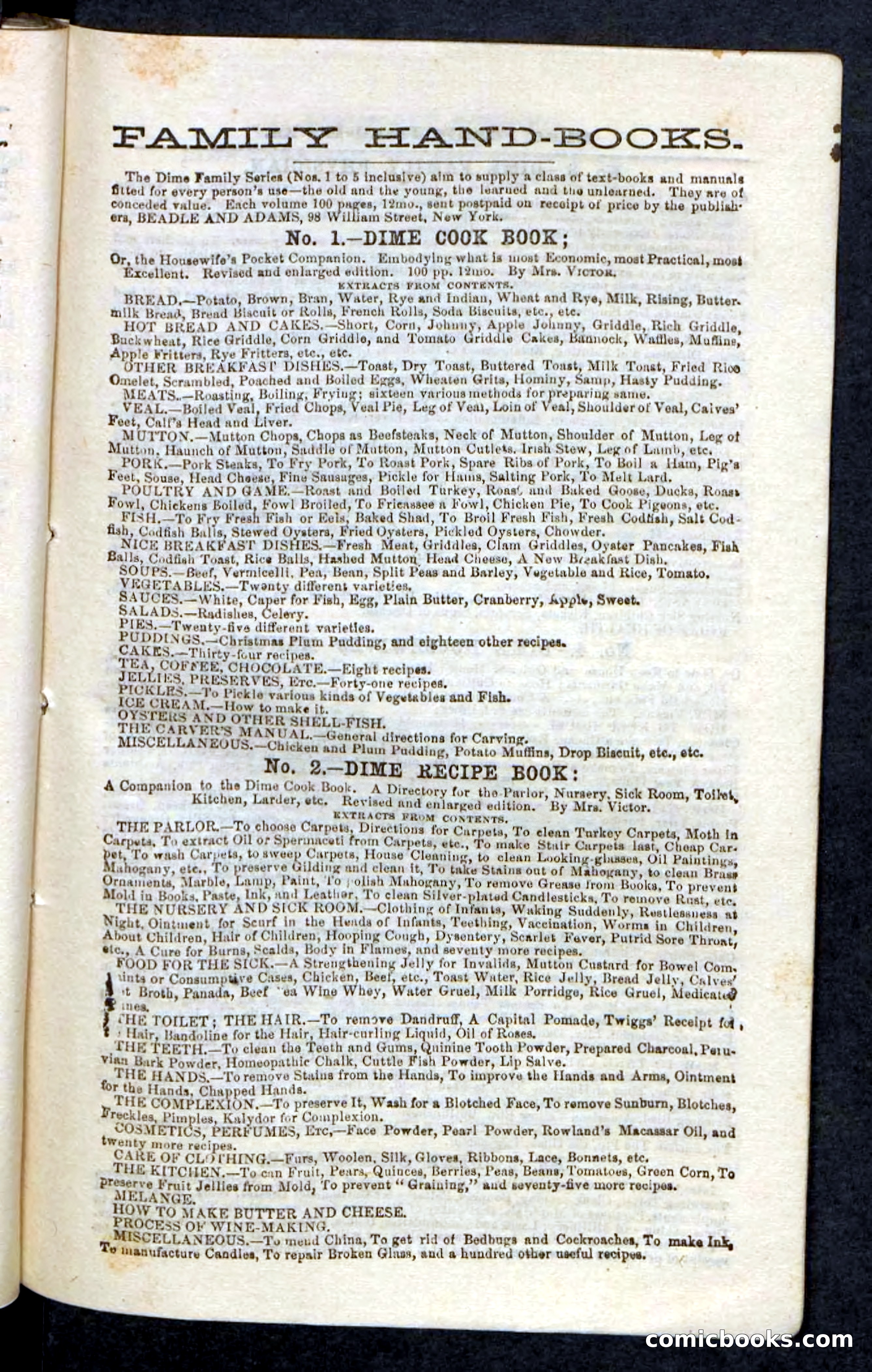 Beadle's Pocket Novels, No. 86: The Hunter Hercules — page 89 of 100