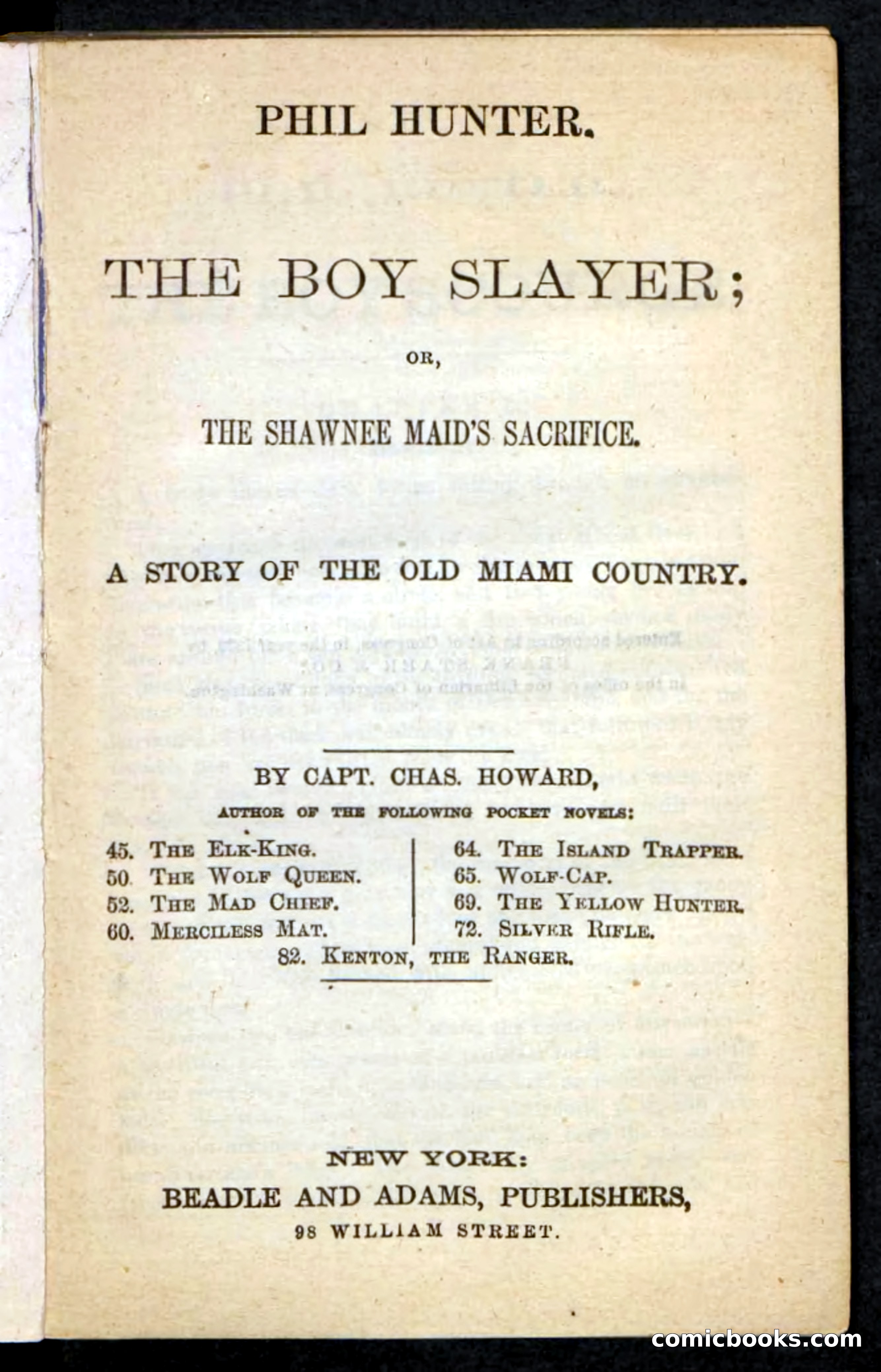 Beadle's Pocket Novels No. 87 — page 3 of 100
