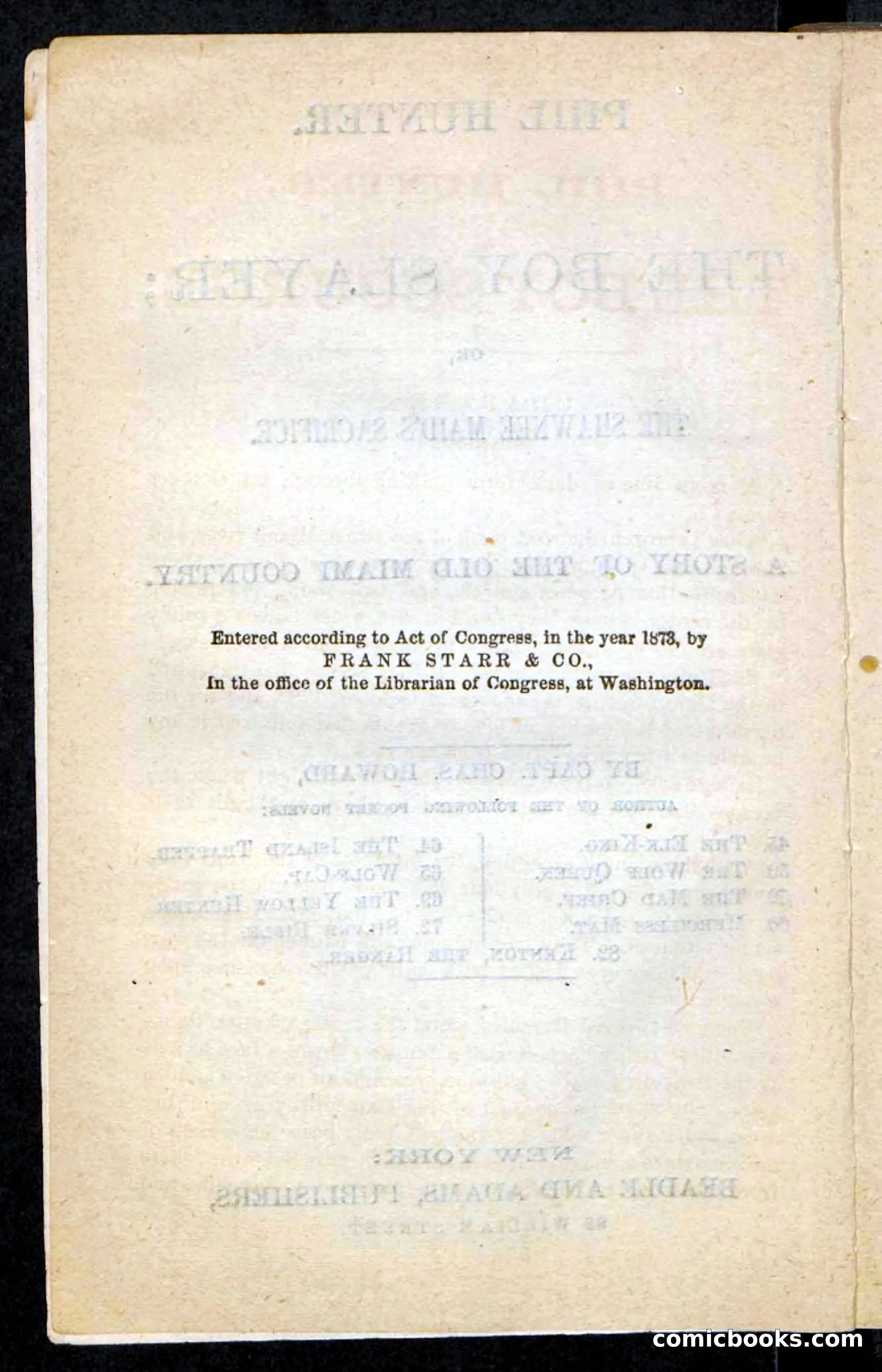 Beadle's Pocket Novels No. 87 — page 4 of 100