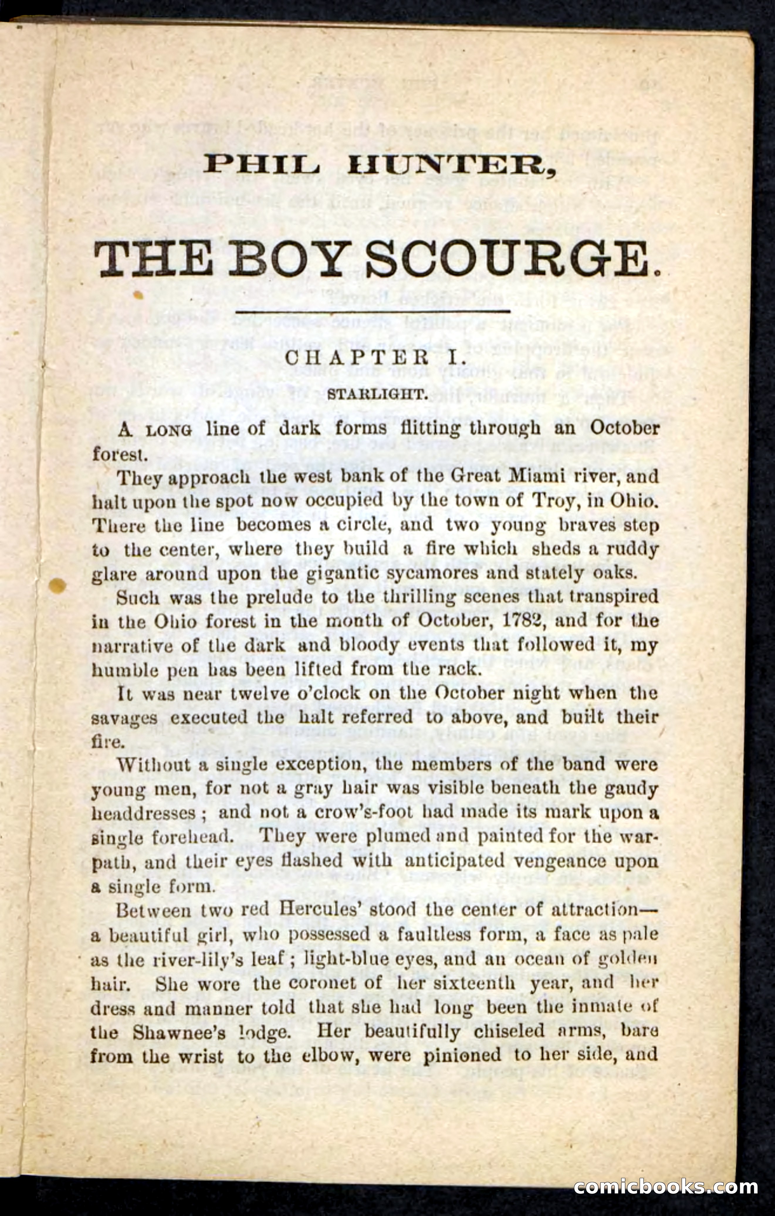 Beadle's Pocket Novels No. 87 — page 5 of 100