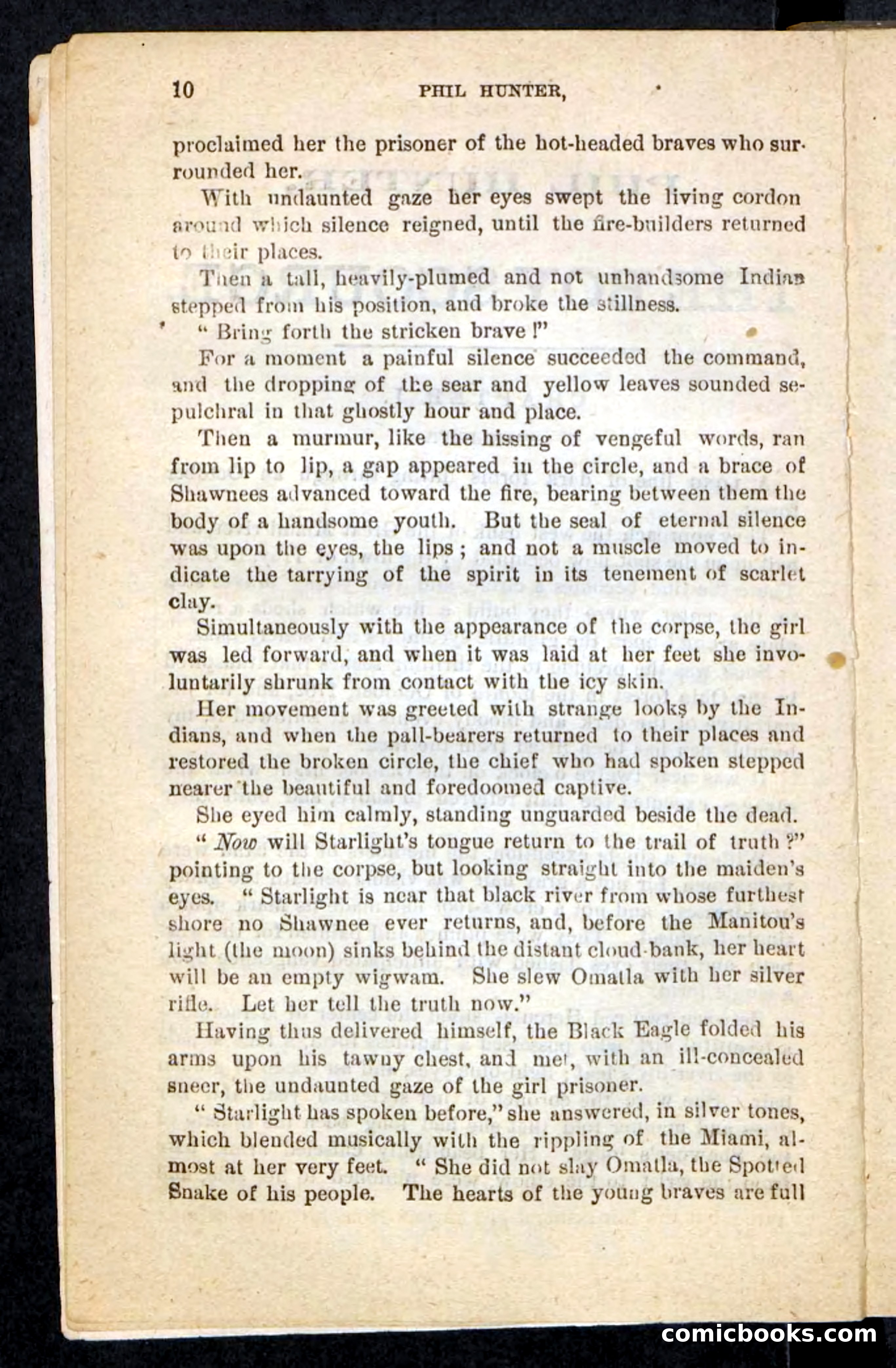 Beadle's Pocket Novels No. 87 — page 6 of 100
