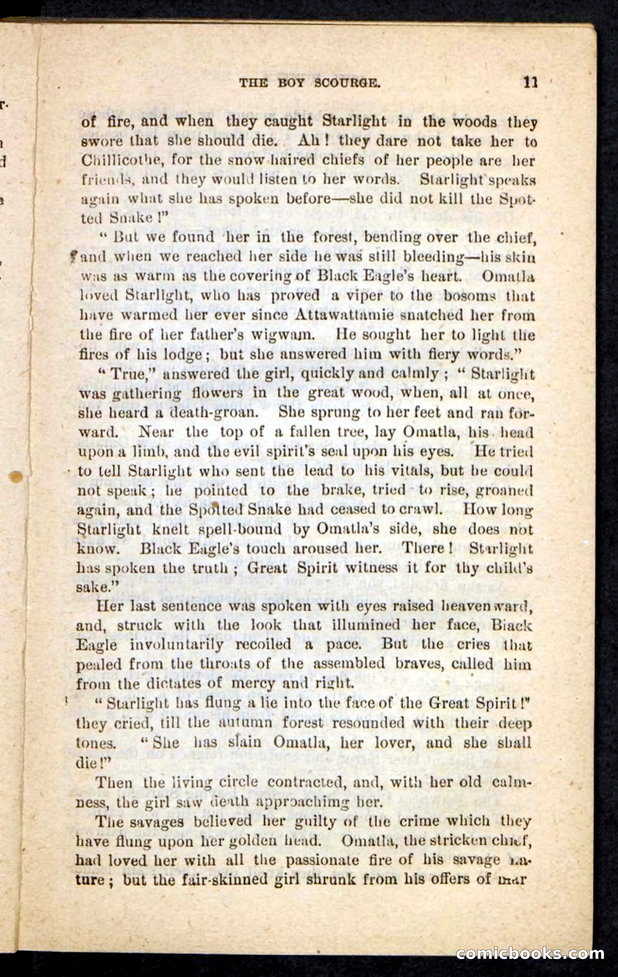 Beadle's Pocket Novels No. 87 — page 7 of 100