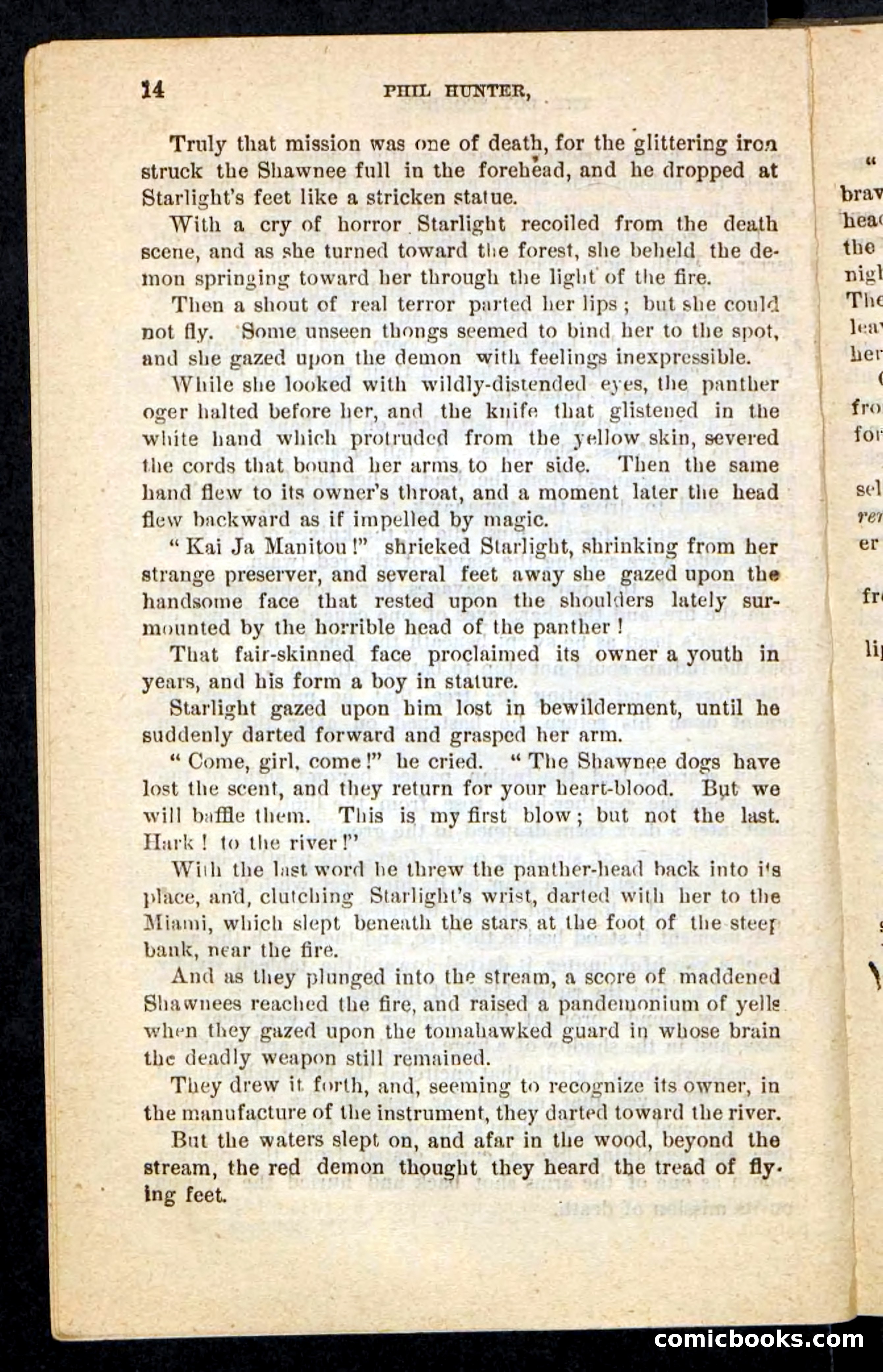 Beadle's Pocket Novels No. 87 — page 10 of 100