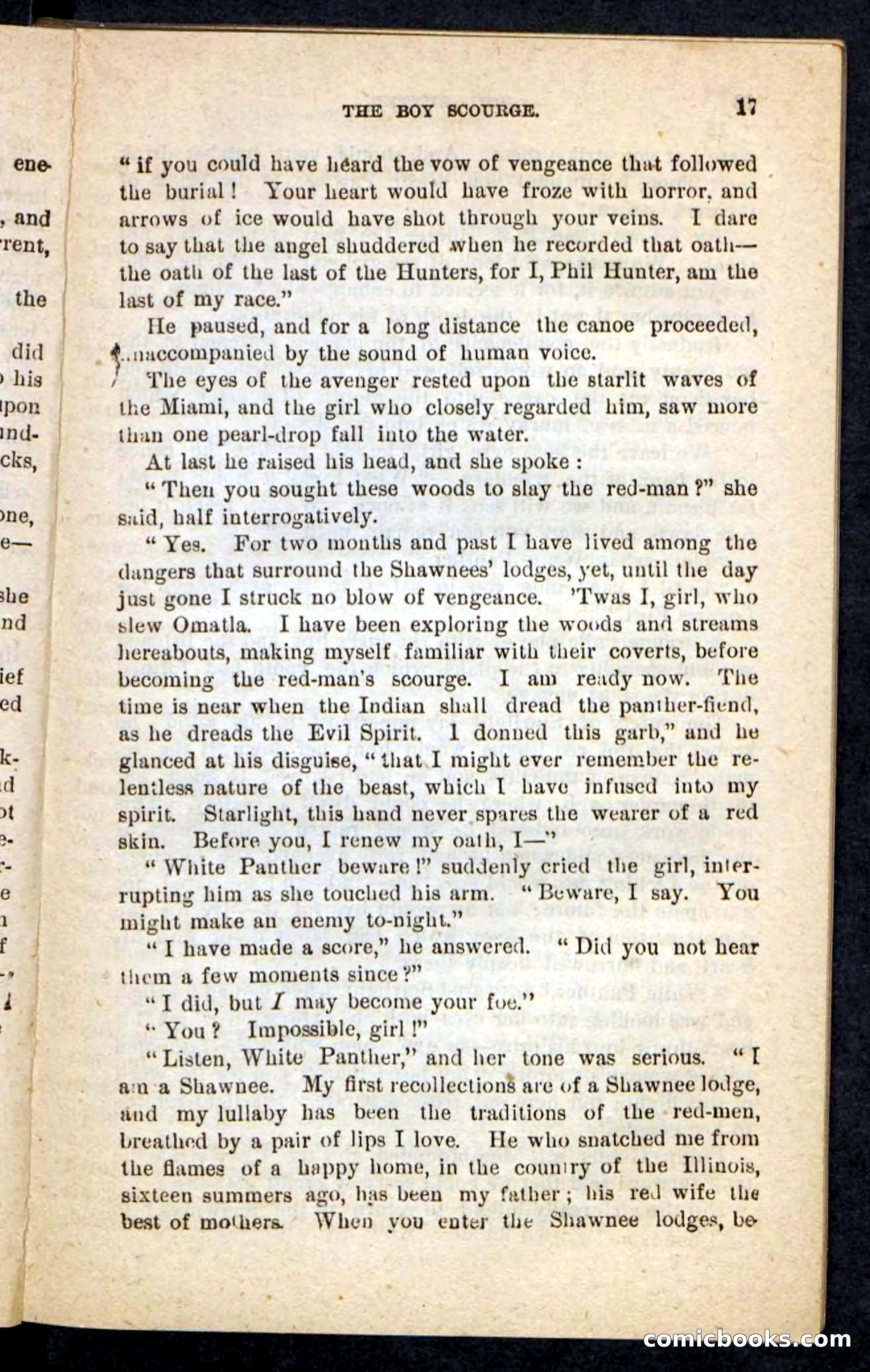 Beadle's Pocket Novels No. 87 — page 13 of 100
