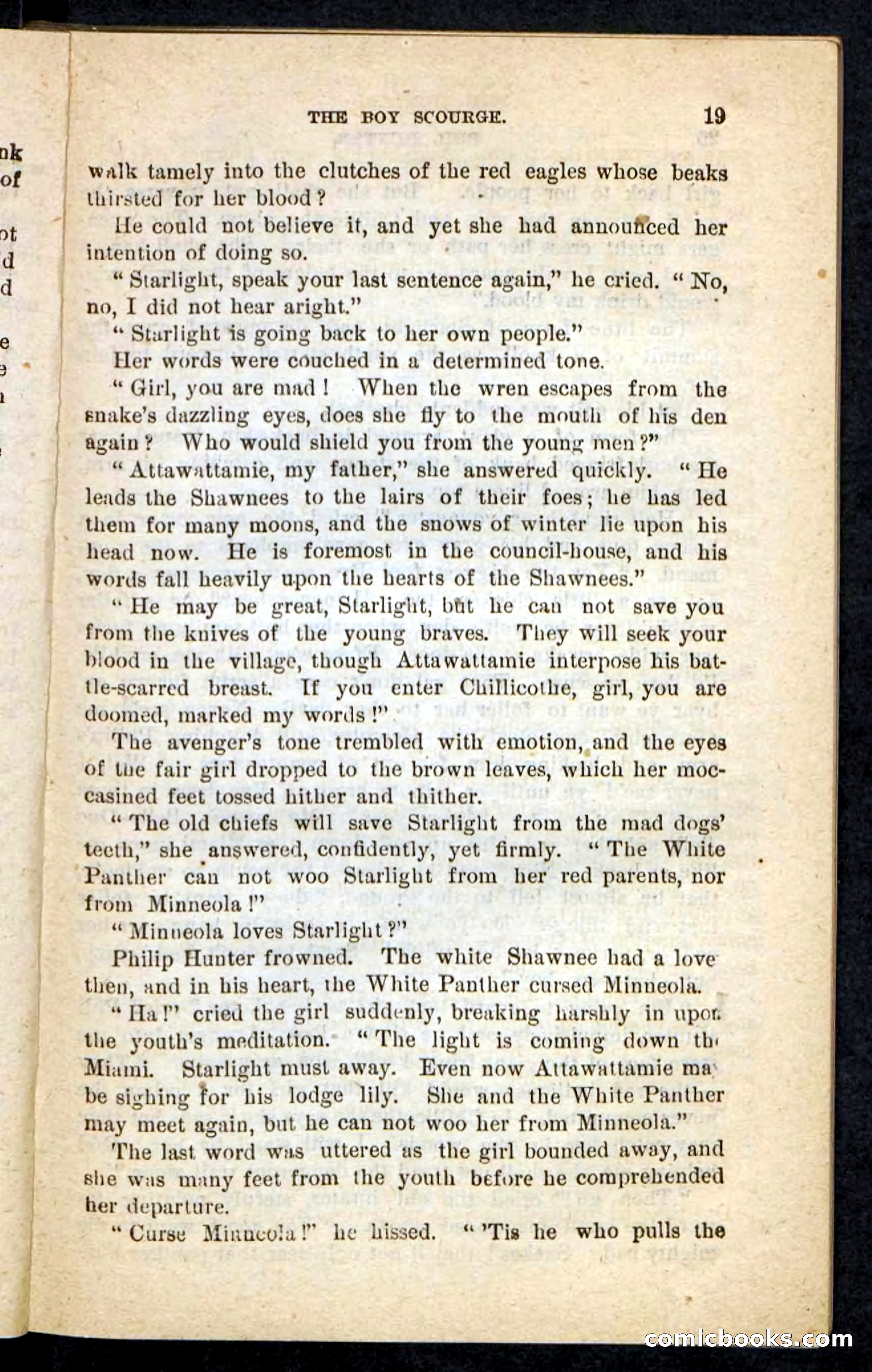 Beadle's Pocket Novels No. 87 — page 15 of 100