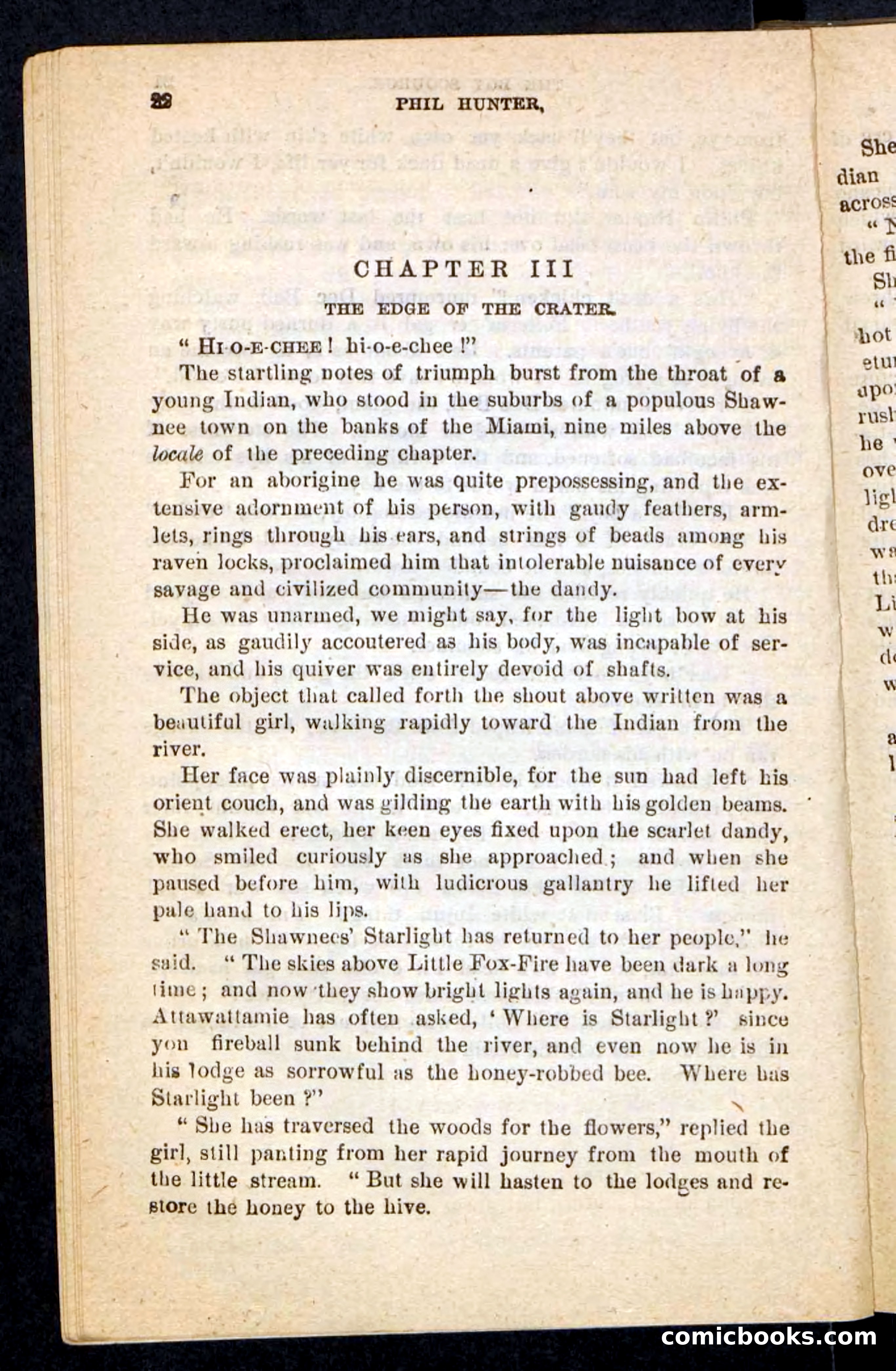 Beadle's Pocket Novels No. 87 — page 18 of 100