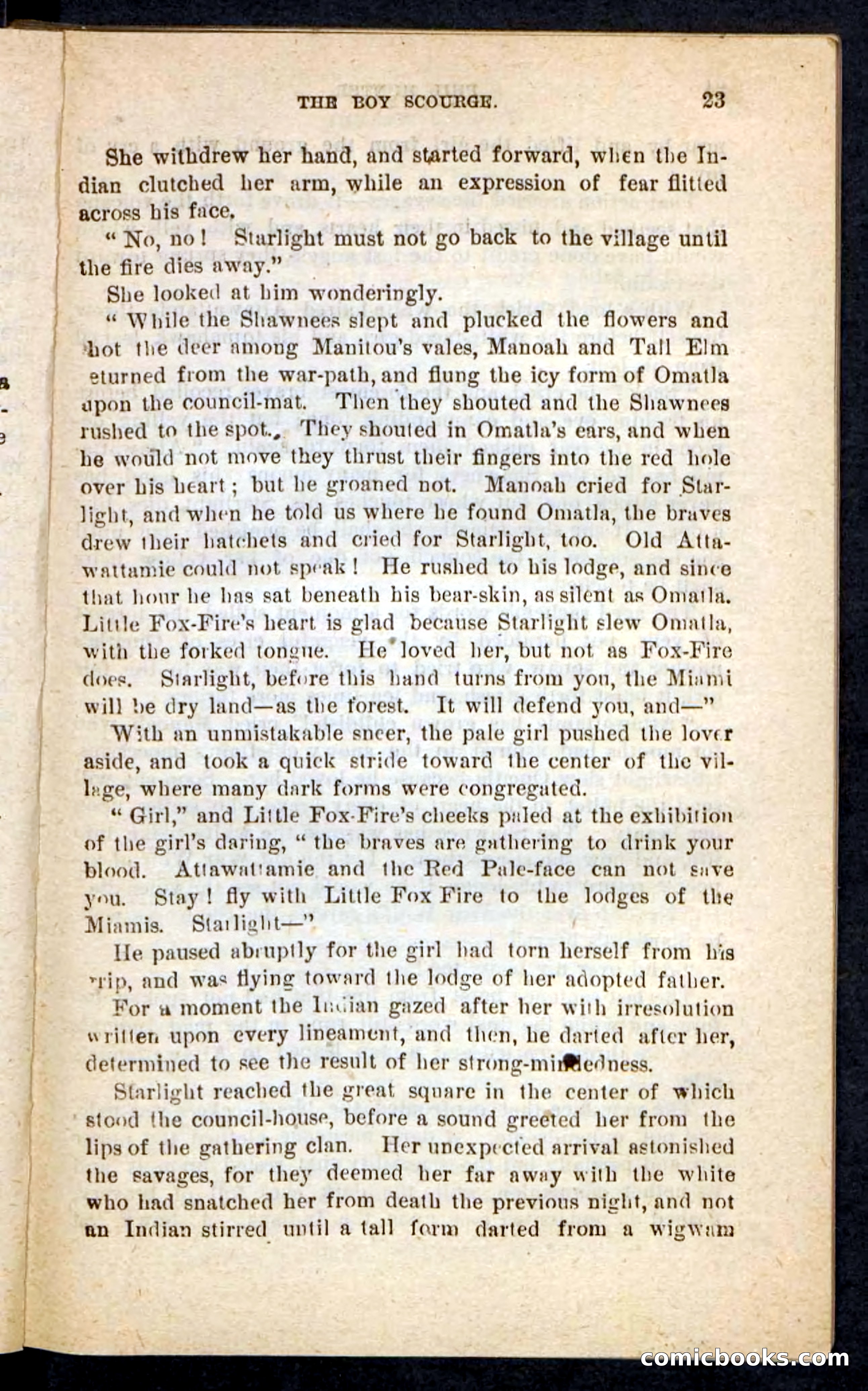 Beadle's Pocket Novels No. 87 — page 19 of 100
