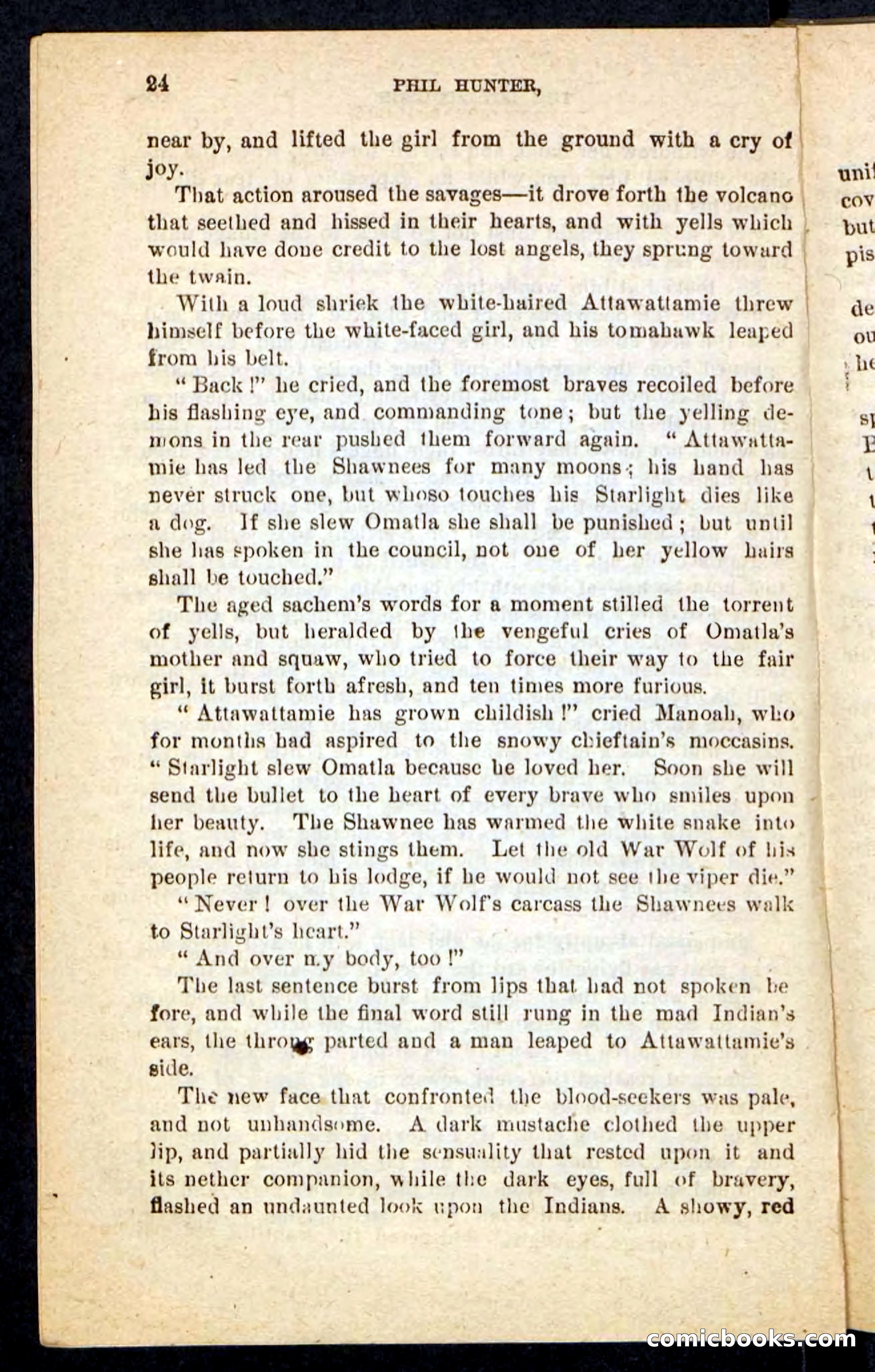 Beadle's Pocket Novels No. 87 — page 20 of 100