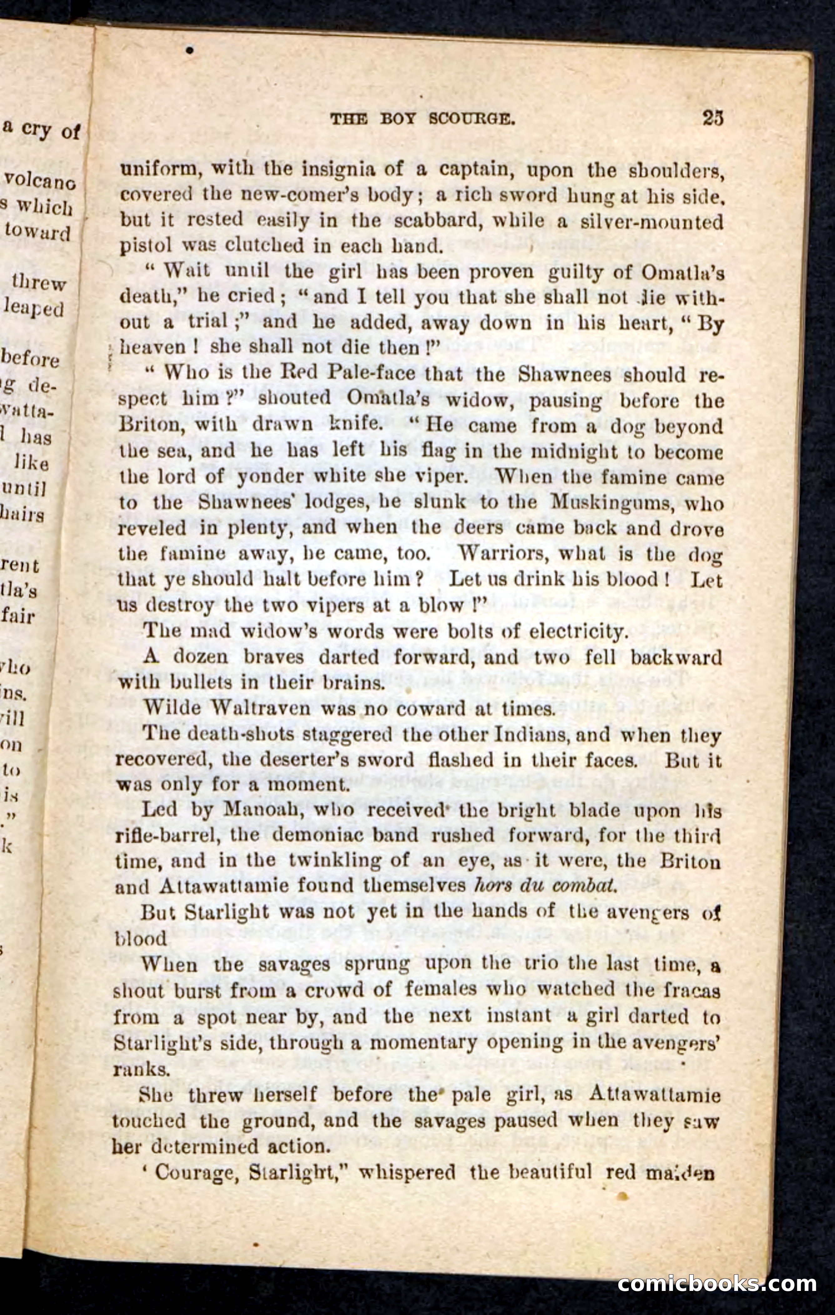 Beadle's Pocket Novels No. 87 — page 21 of 100