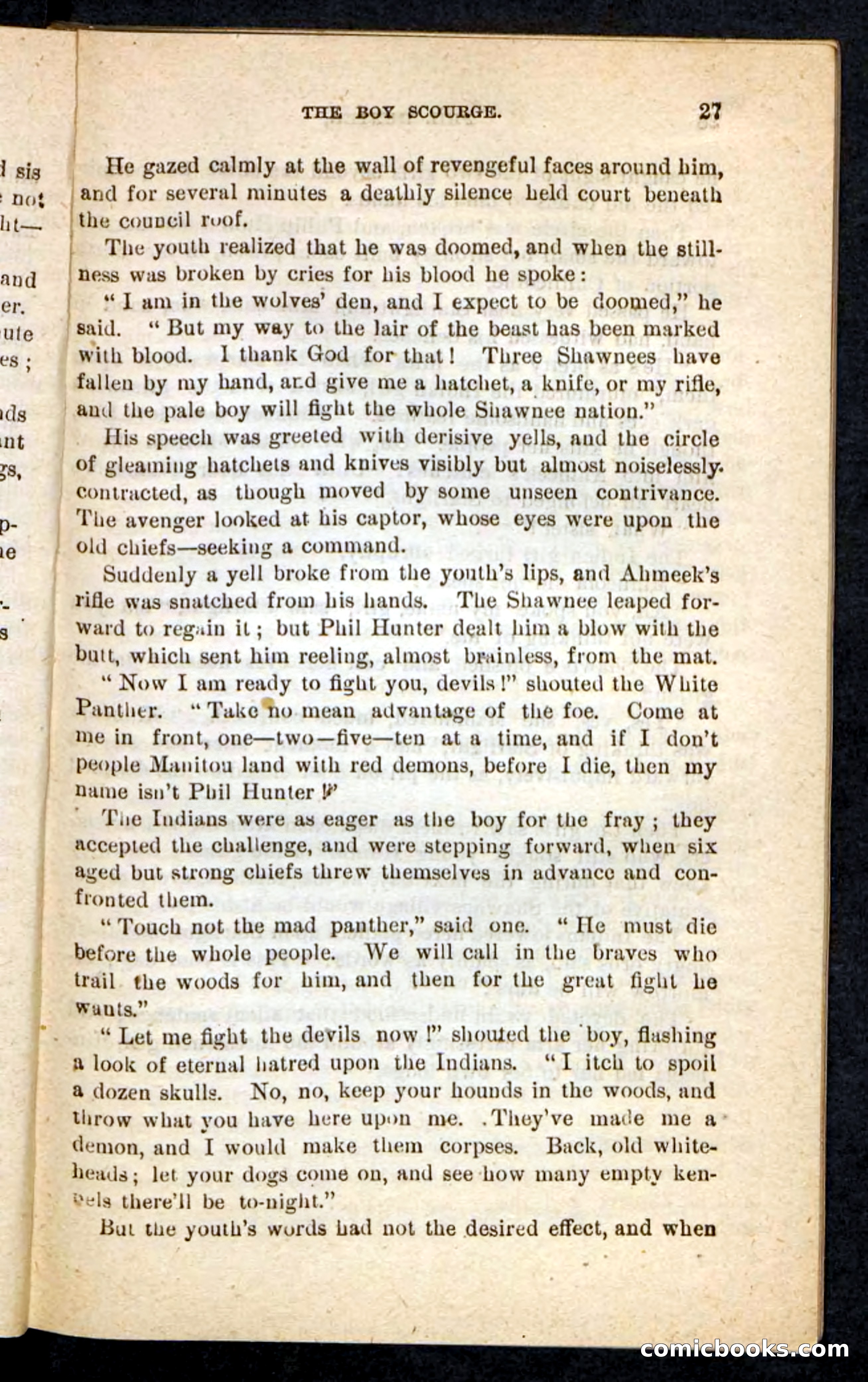 Beadle's Pocket Novels No. 87 — page 23 of 100