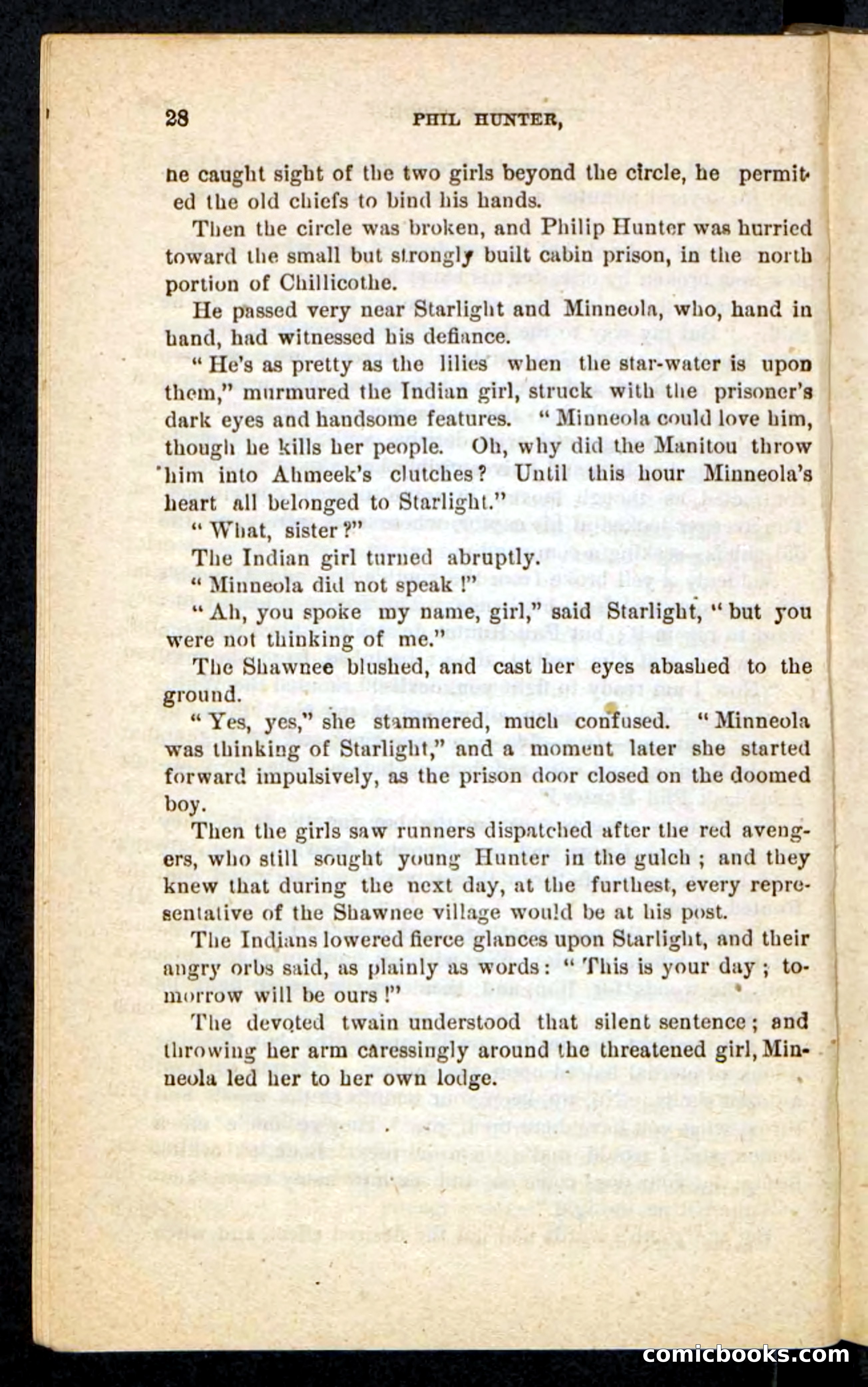 Beadle's Pocket Novels No. 87 — page 24 of 100