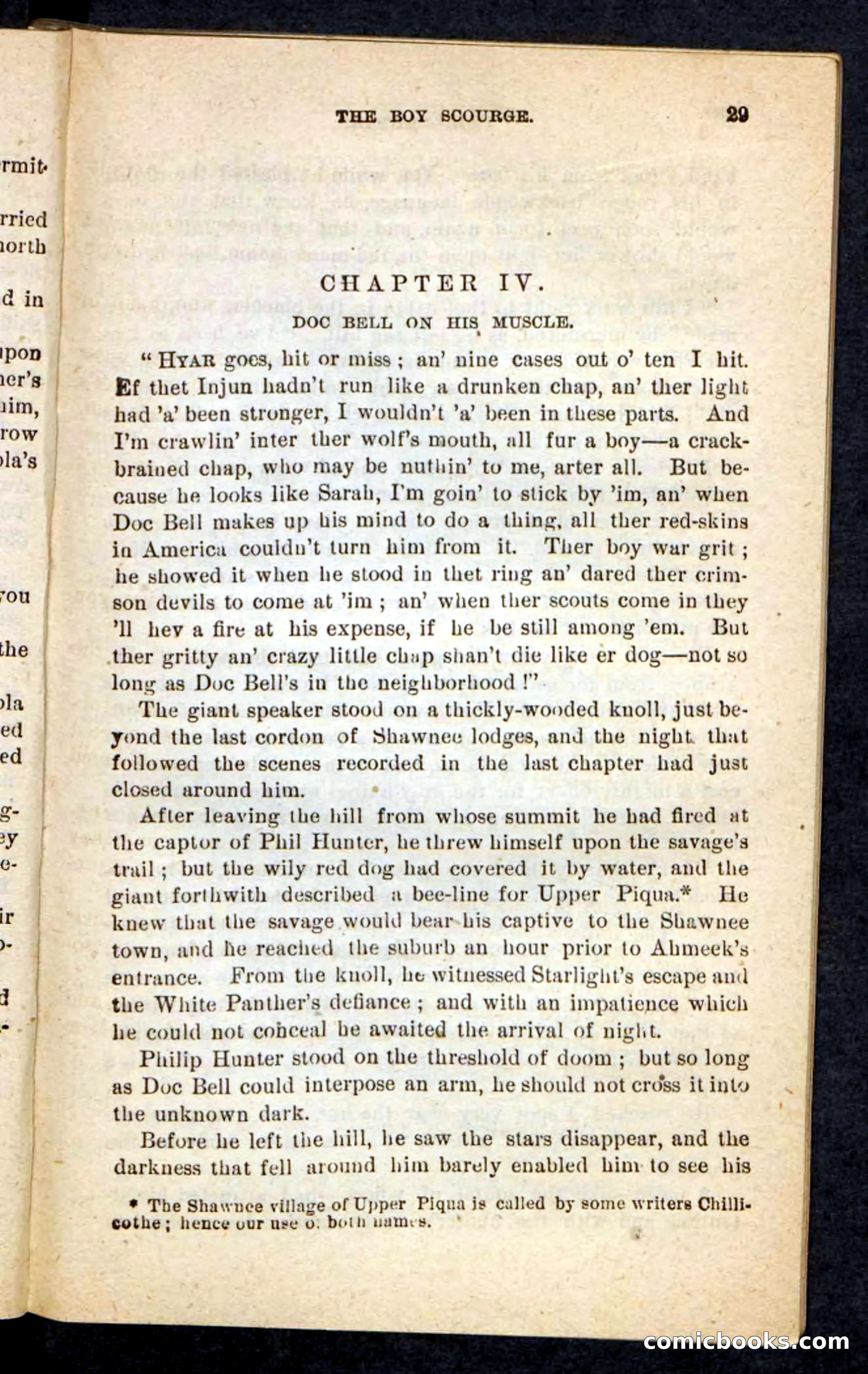 Beadle's Pocket Novels No. 87 — page 25 of 100