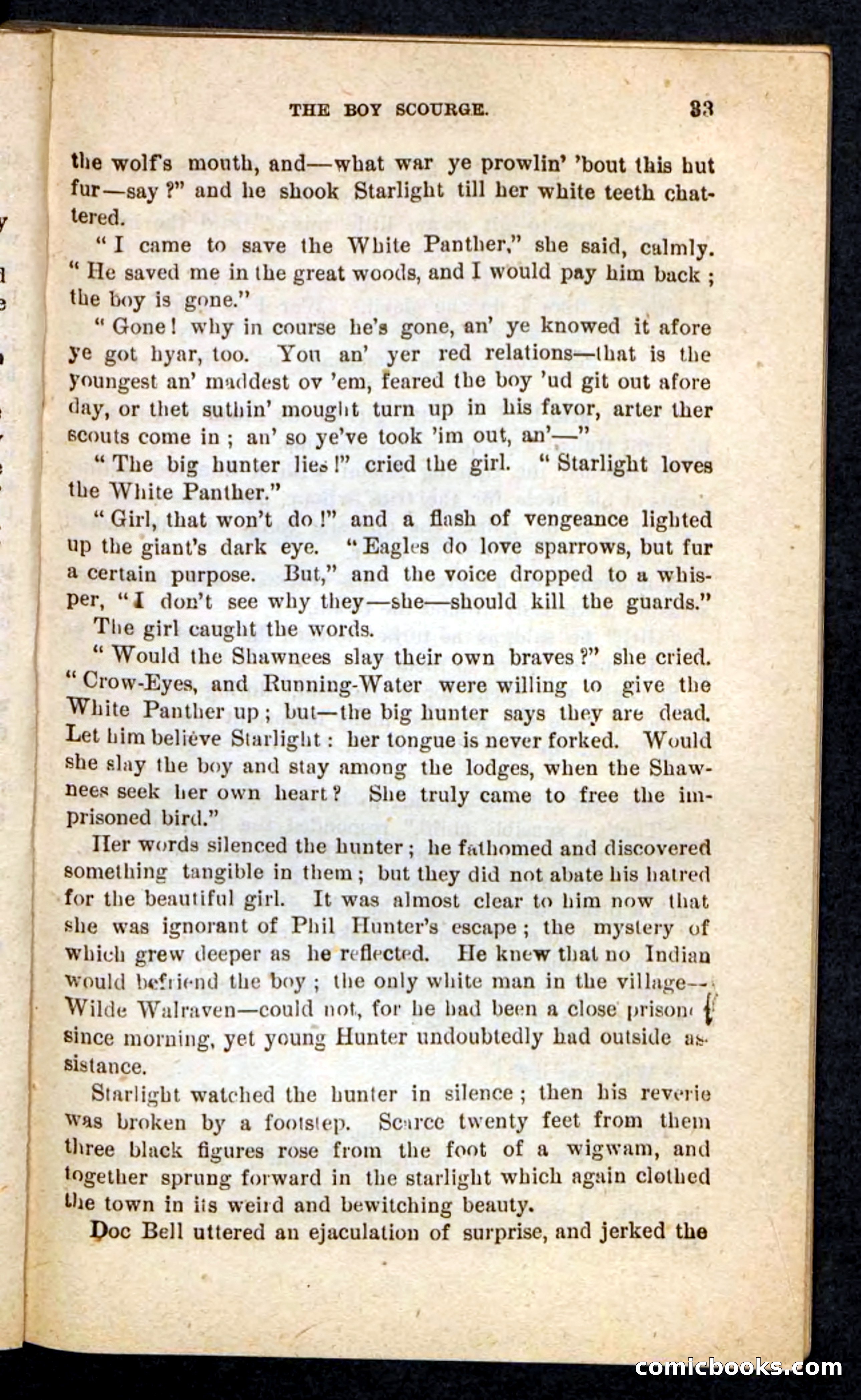 Beadle's Pocket Novels No. 87 — page 29 of 100
