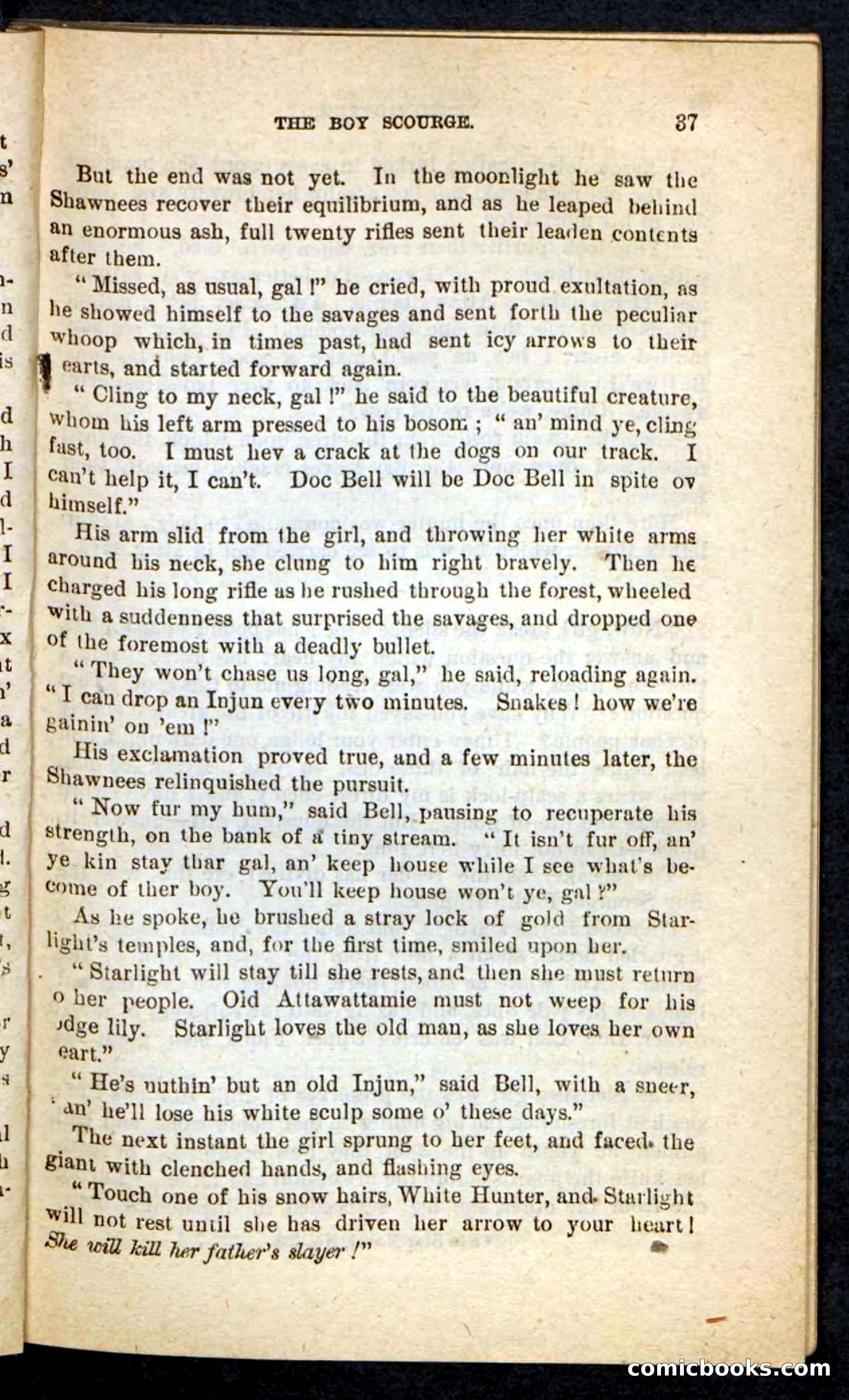 Beadle's Pocket Novels No. 87 — page 33 of 100