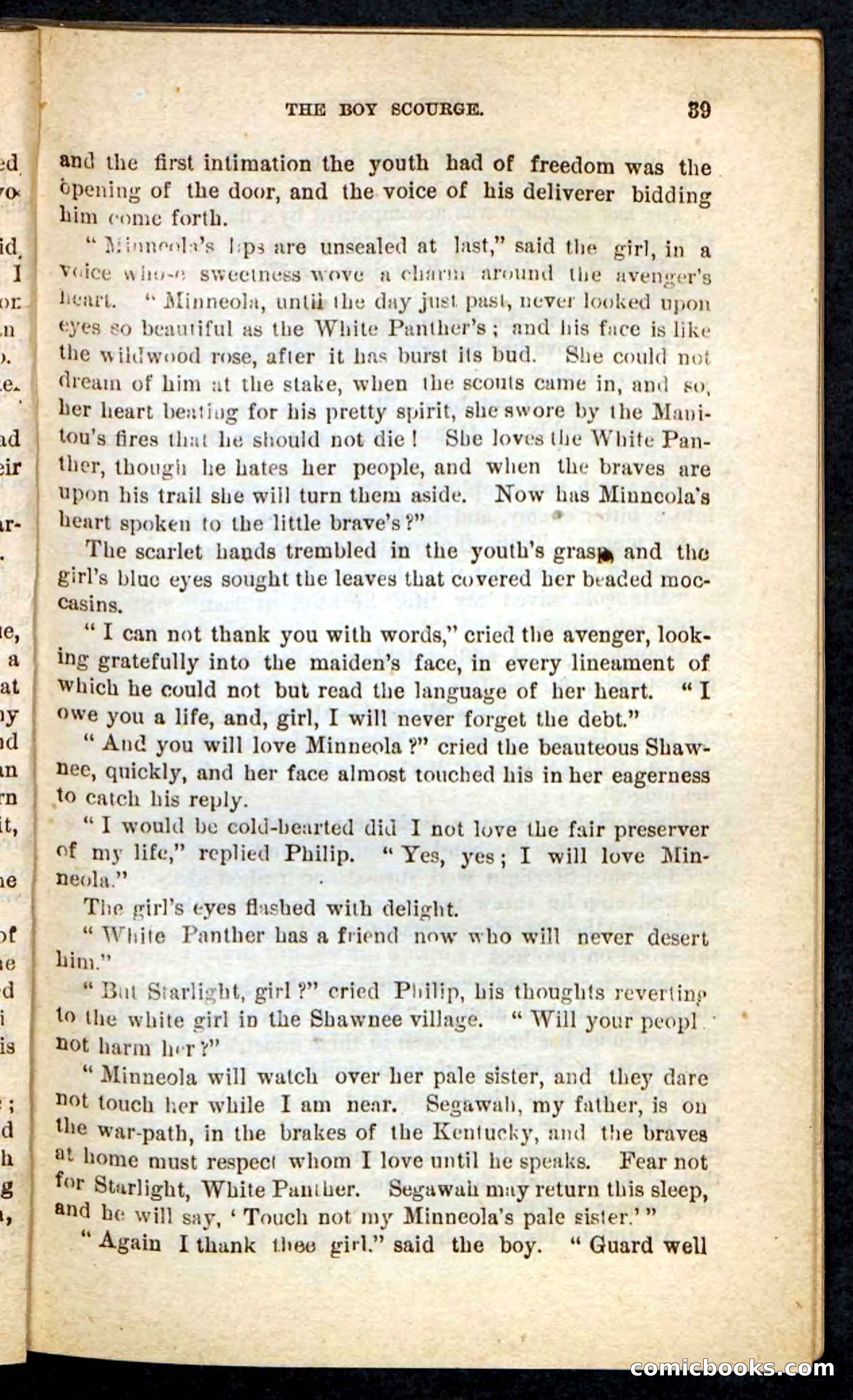 Beadle's Pocket Novels No. 87 — page 35 of 100