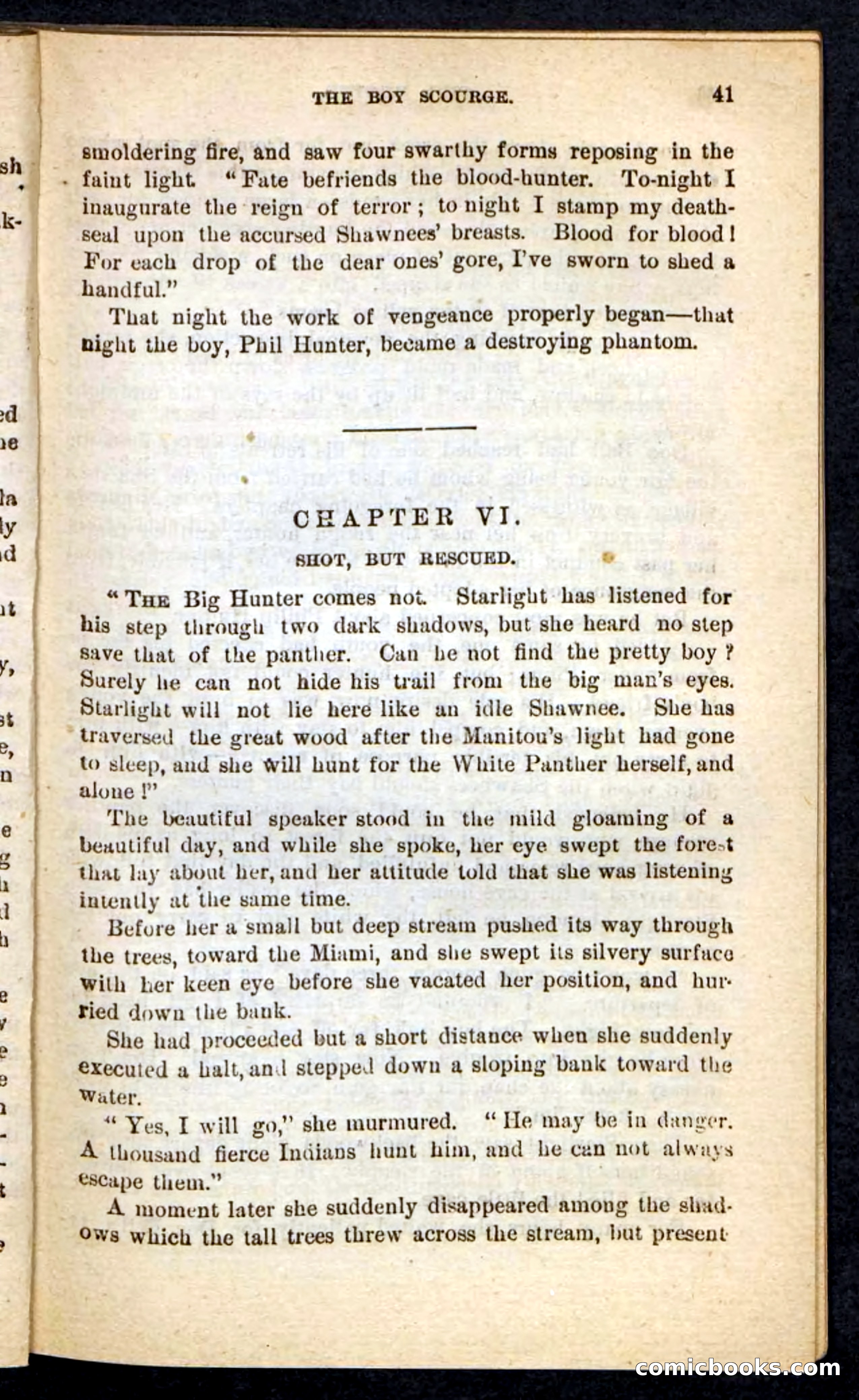 Beadle's Pocket Novels No. 87 — page 37 of 100