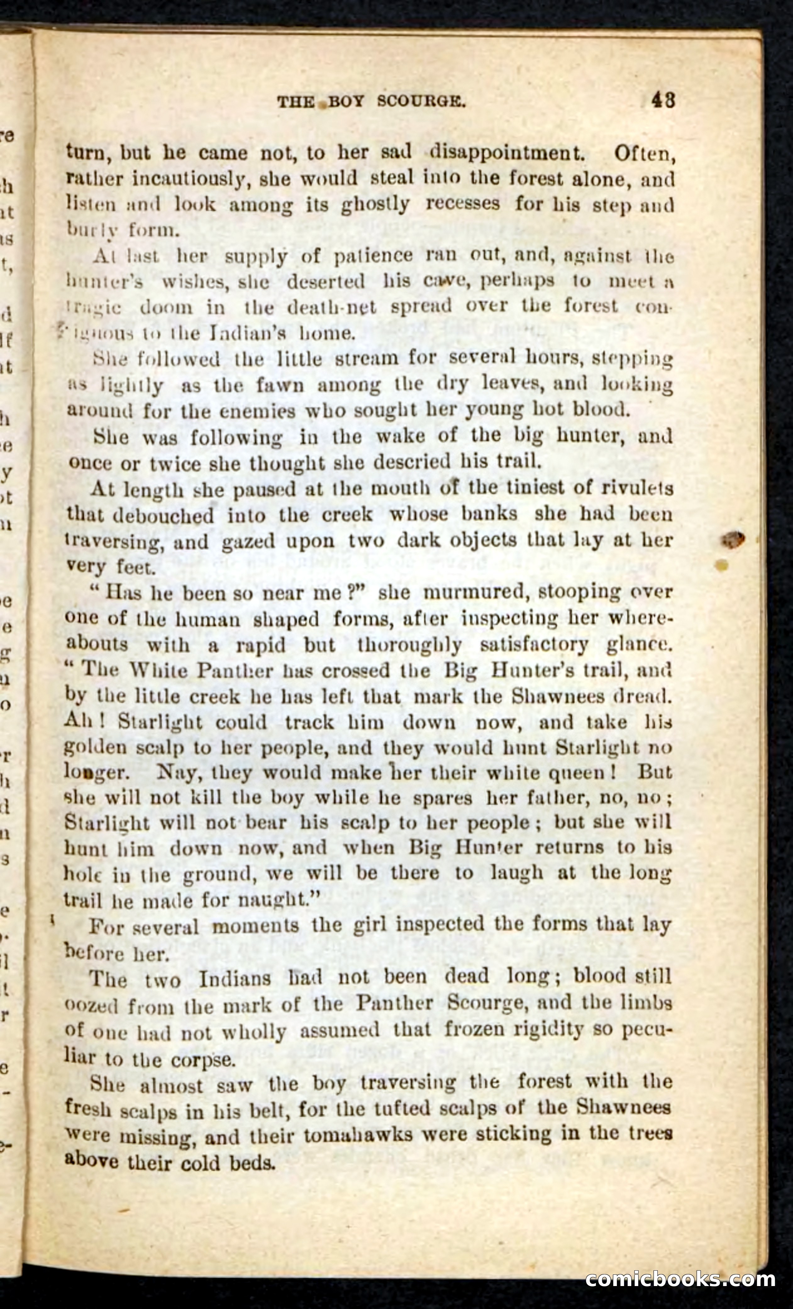 Beadle's Pocket Novels No. 87 — page 39 of 100